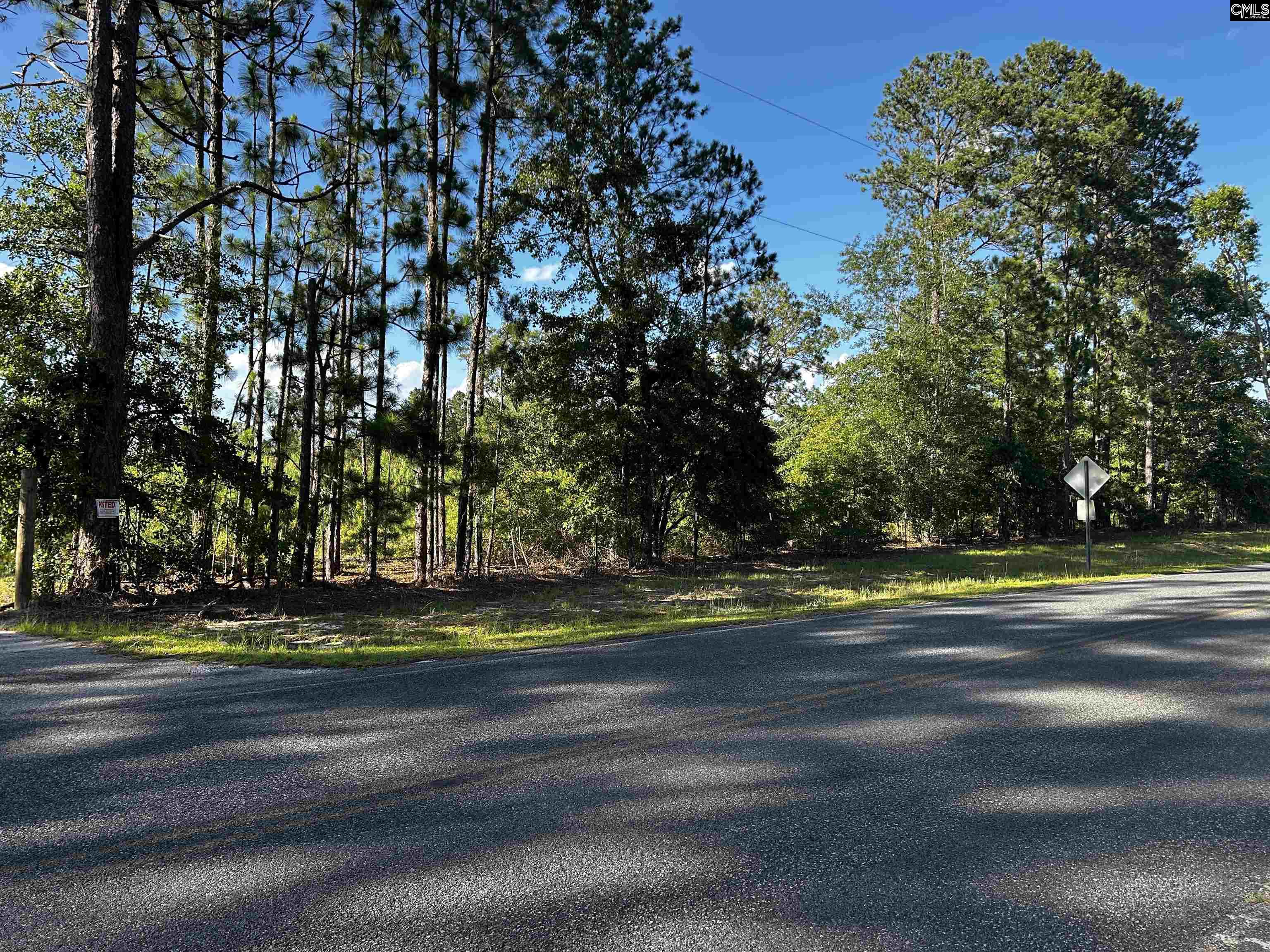 351 Martin Neese Road, Swansea, South Carolina image 9