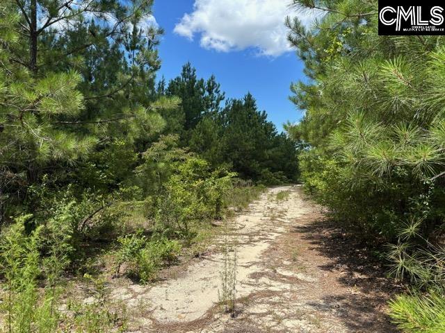 000 Featherrun Road, Kershaw, South Carolina image 2