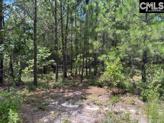 000 Featherrun Road, Kershaw, South Carolina image 3