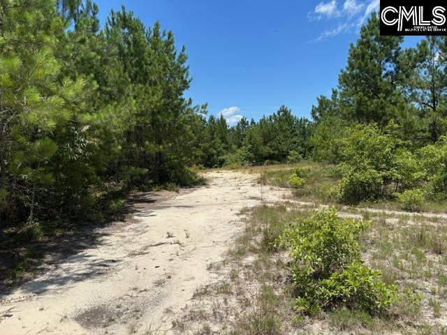000 Featherrun Road, Kershaw, South Carolina image 5