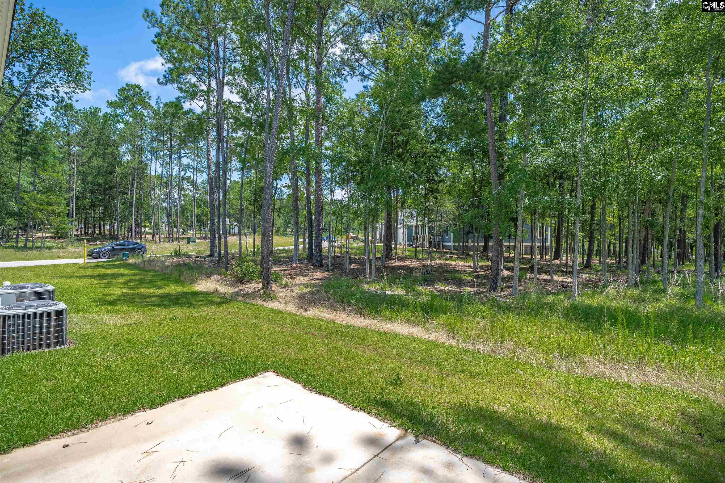585 Misty Banks Drive, Chapin, South Carolina image 16