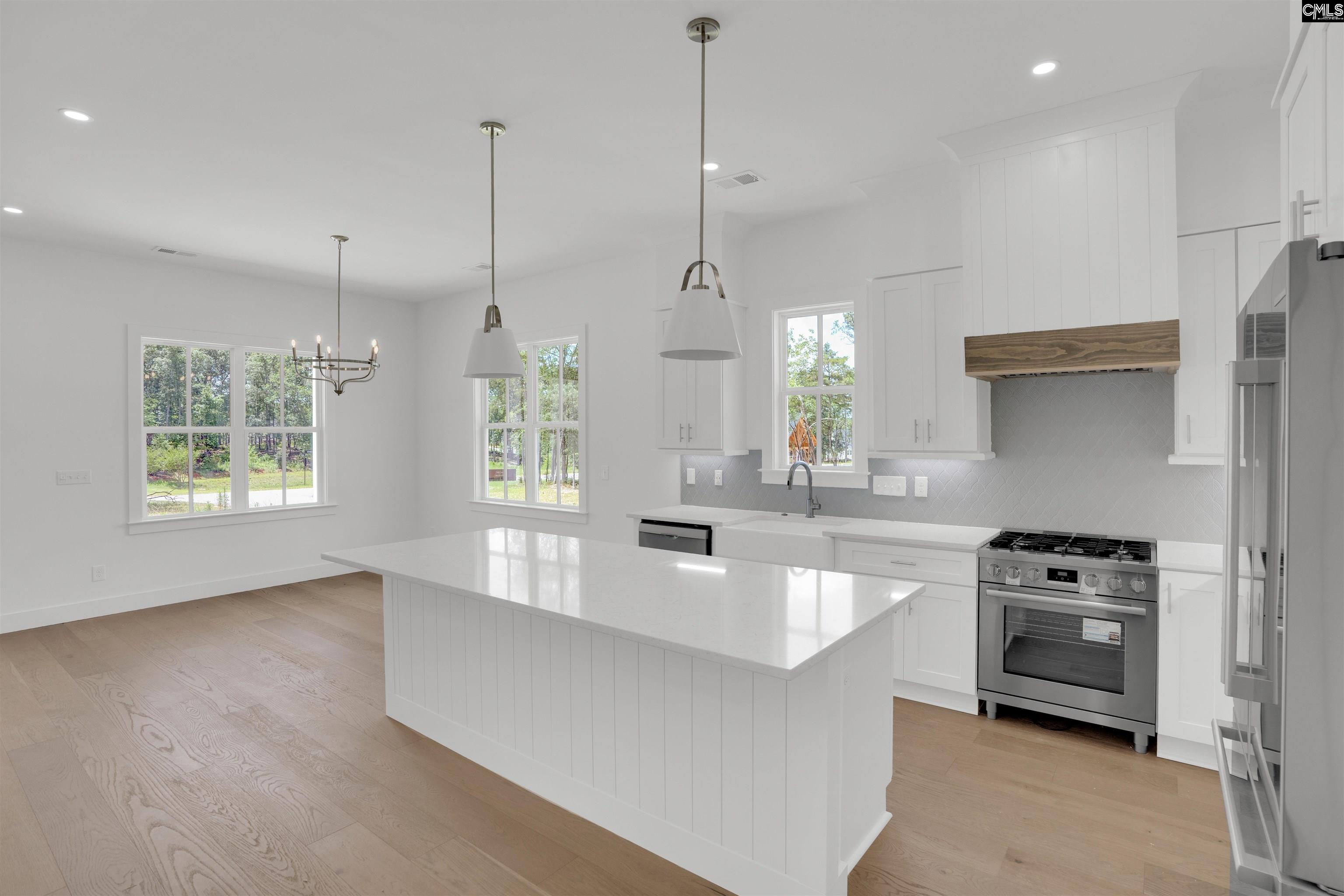 585 Misty Banks Drive, Chapin, South Carolina image 20