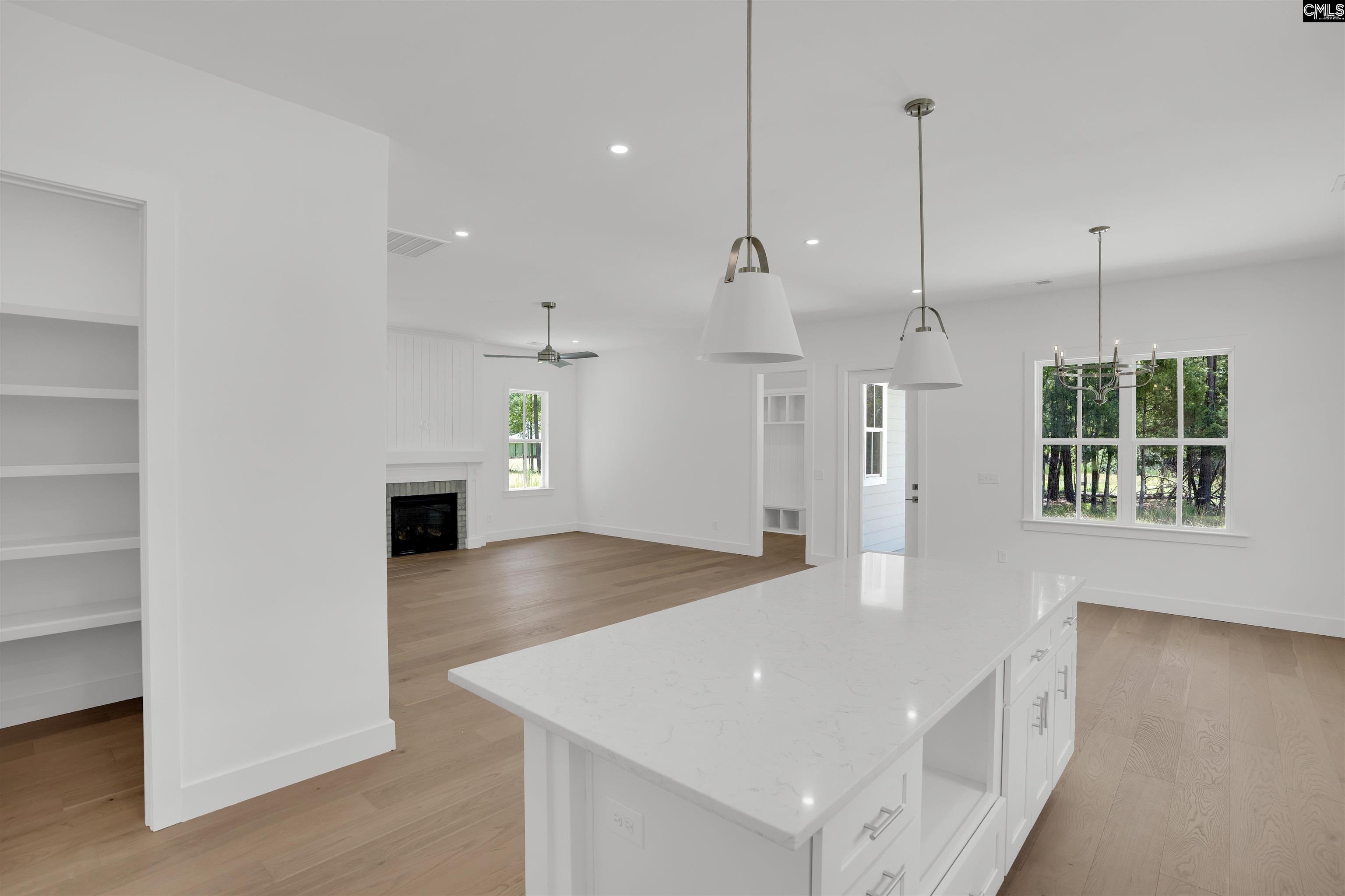 585 Misty Banks Drive, Chapin, South Carolina image 23