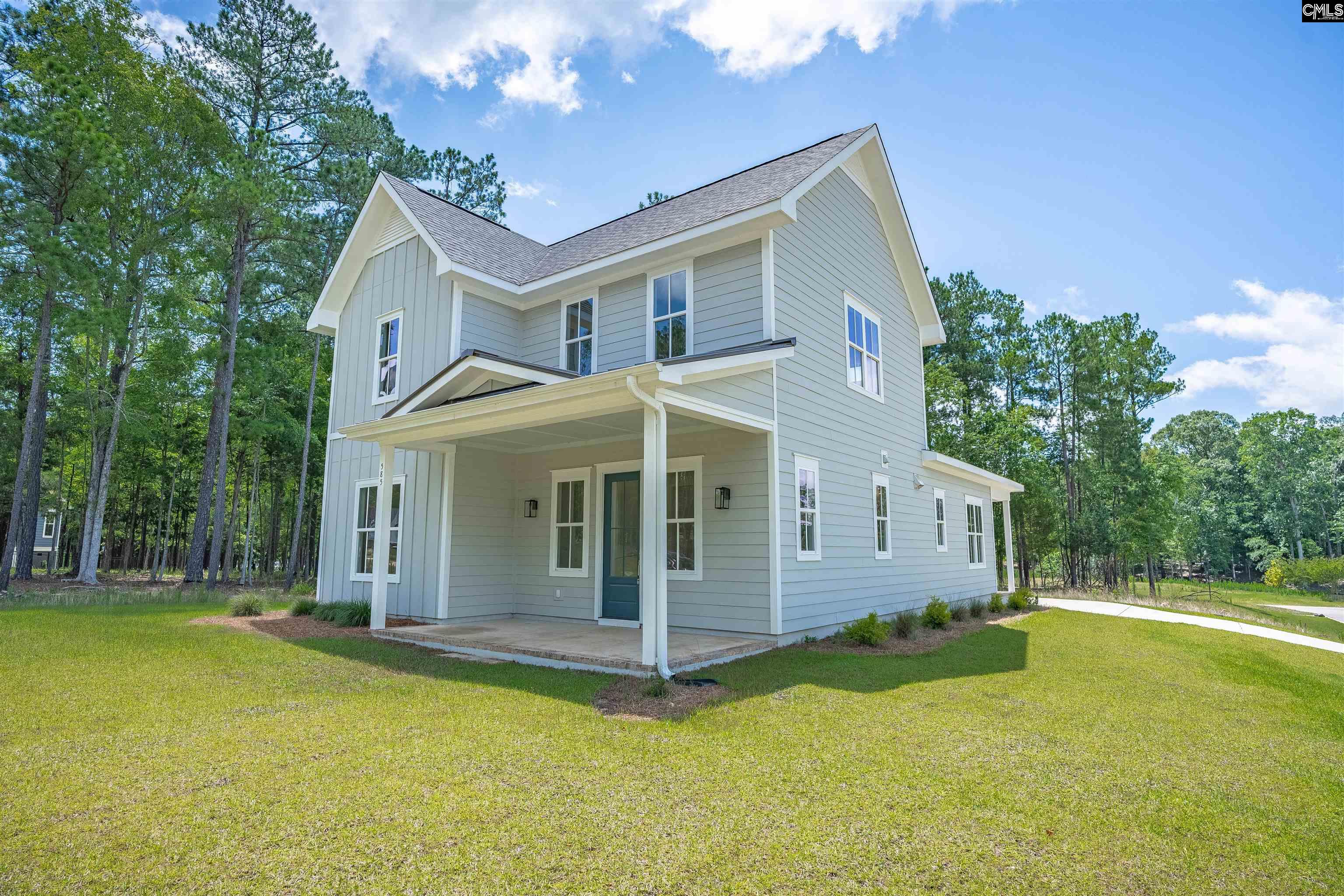 585 Misty Banks Drive, Chapin, South Carolina image 5