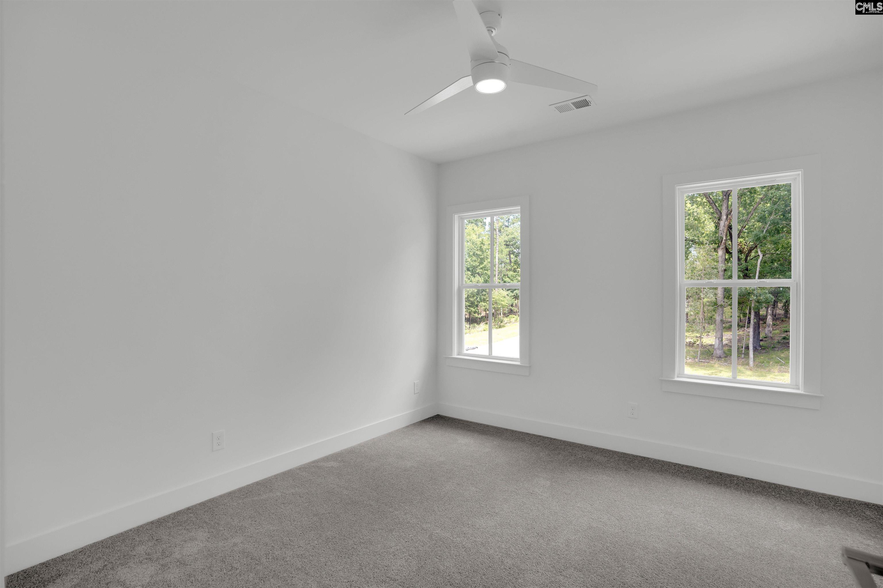 585 Misty Banks Drive, Chapin, South Carolina image 42