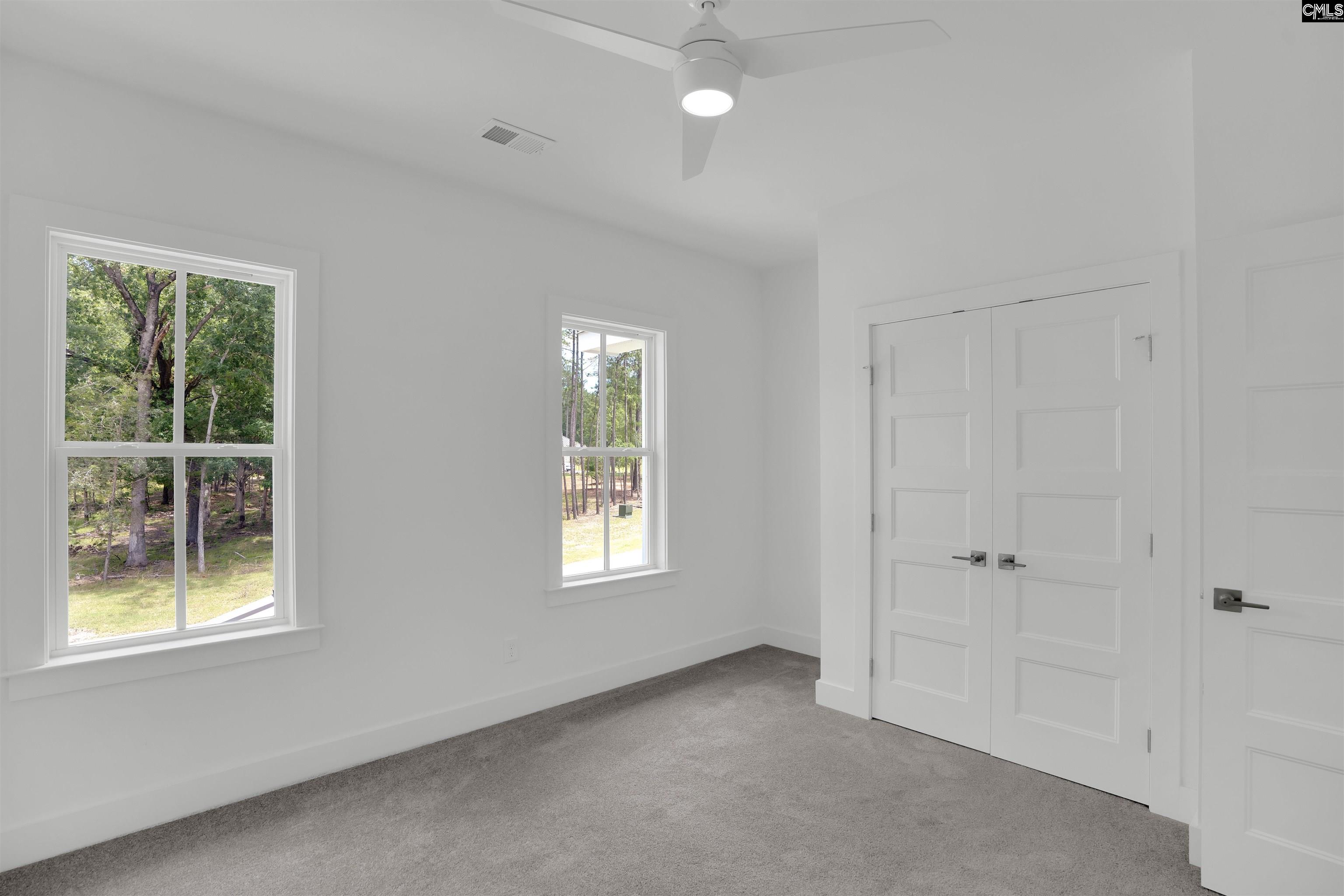 585 Misty Banks Drive, Chapin, South Carolina image 43