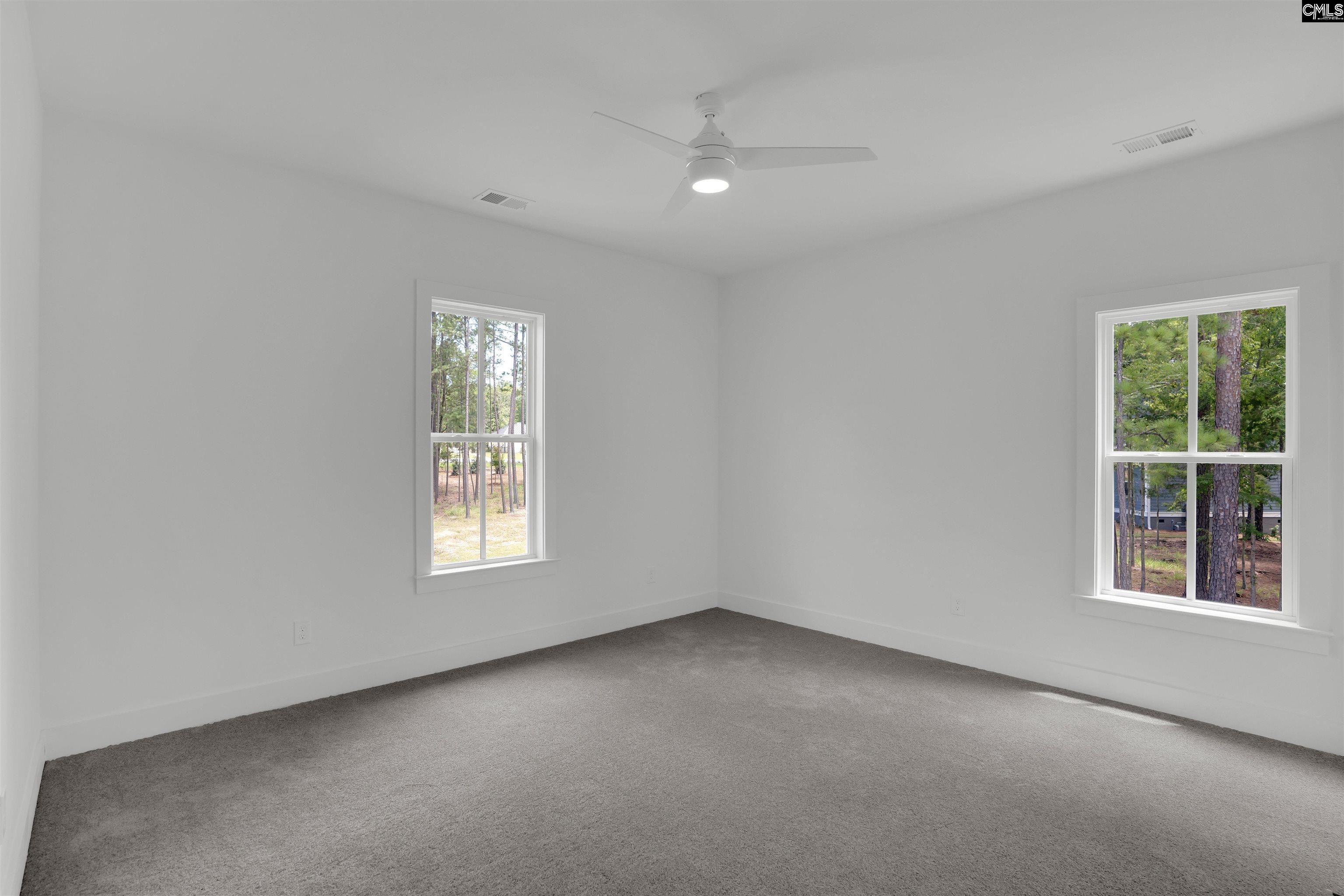 585 Misty Banks Drive, Chapin, South Carolina image 46