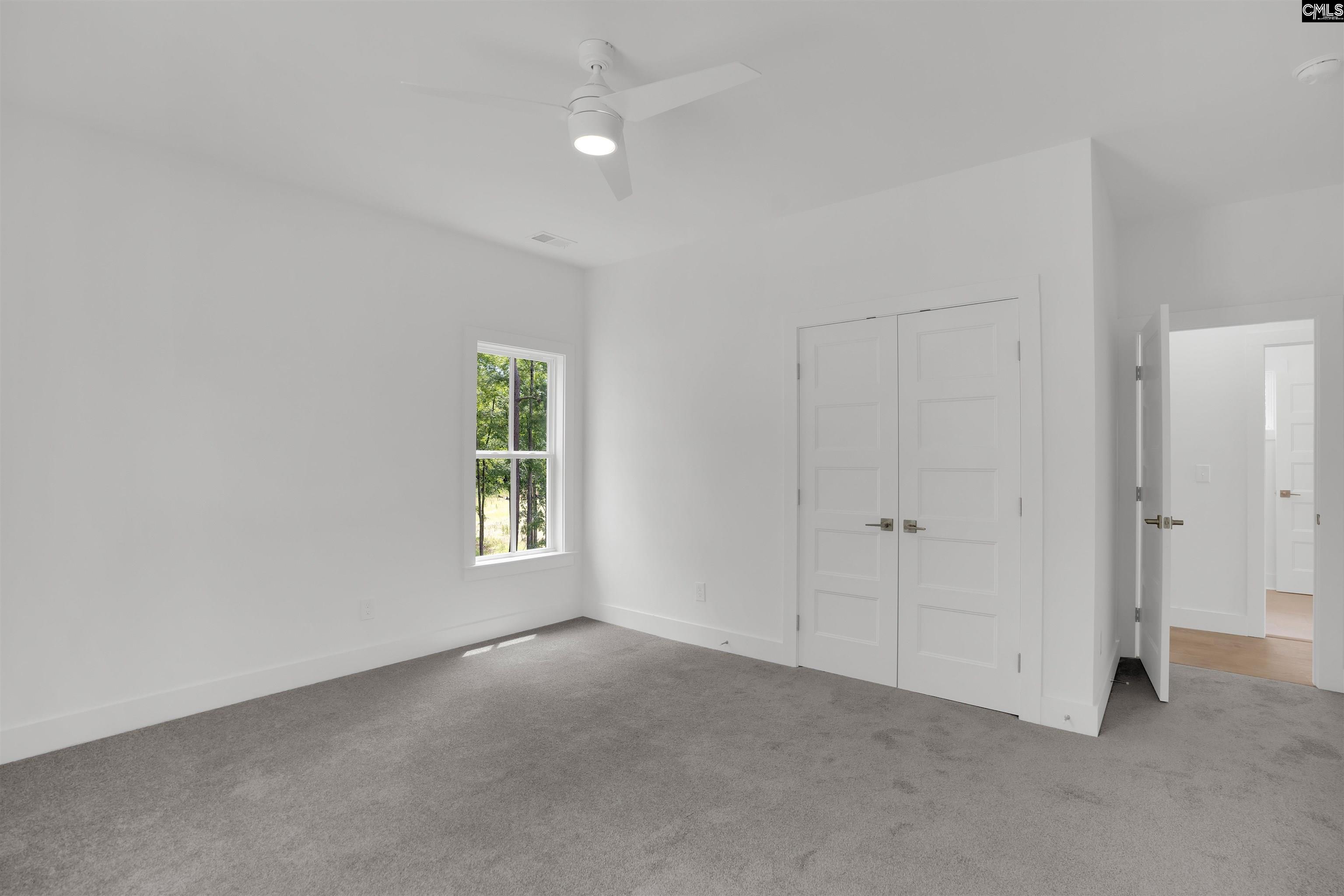 585 Misty Banks Drive, Chapin, South Carolina image 47