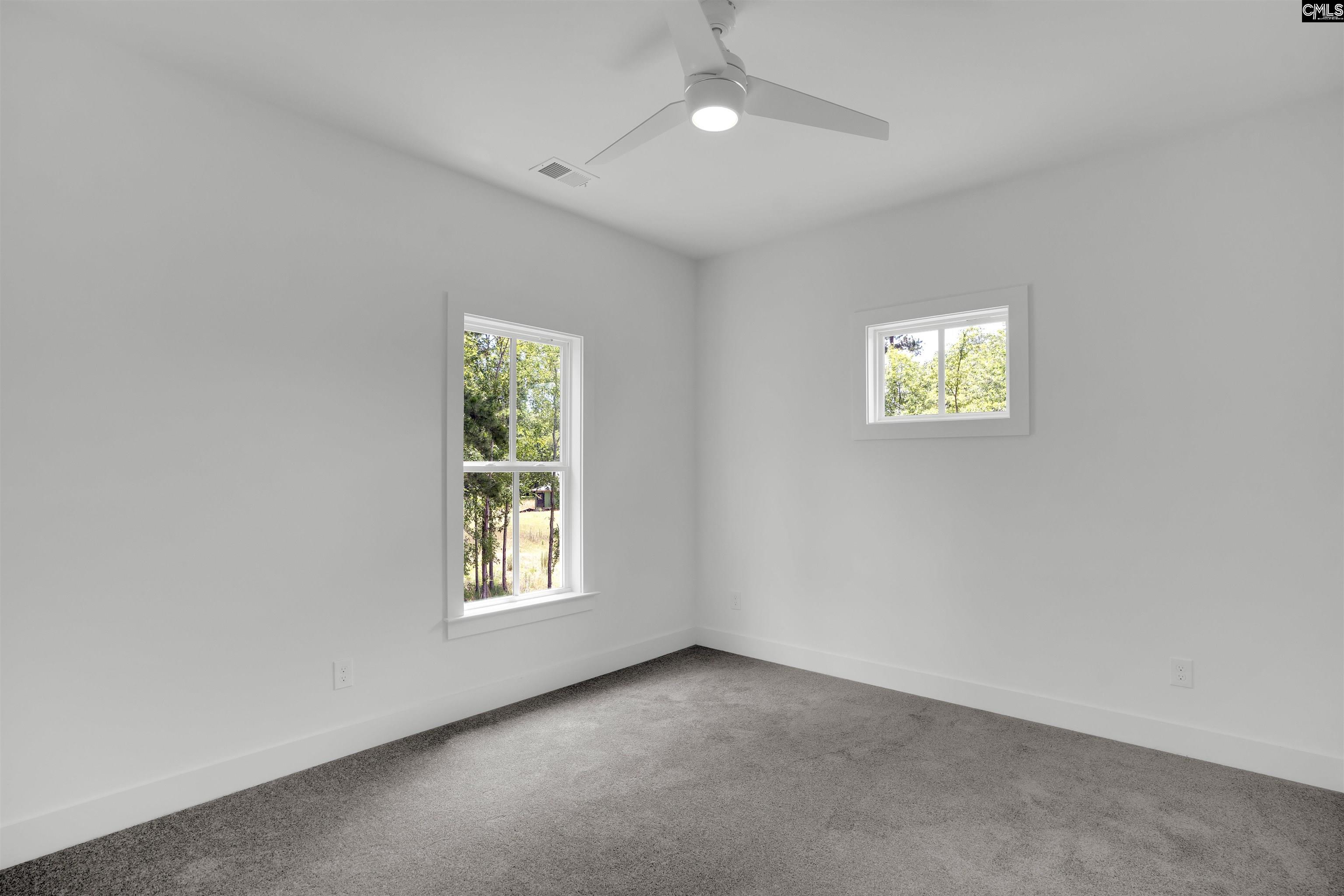 585 Misty Banks Drive, Chapin, South Carolina image 48