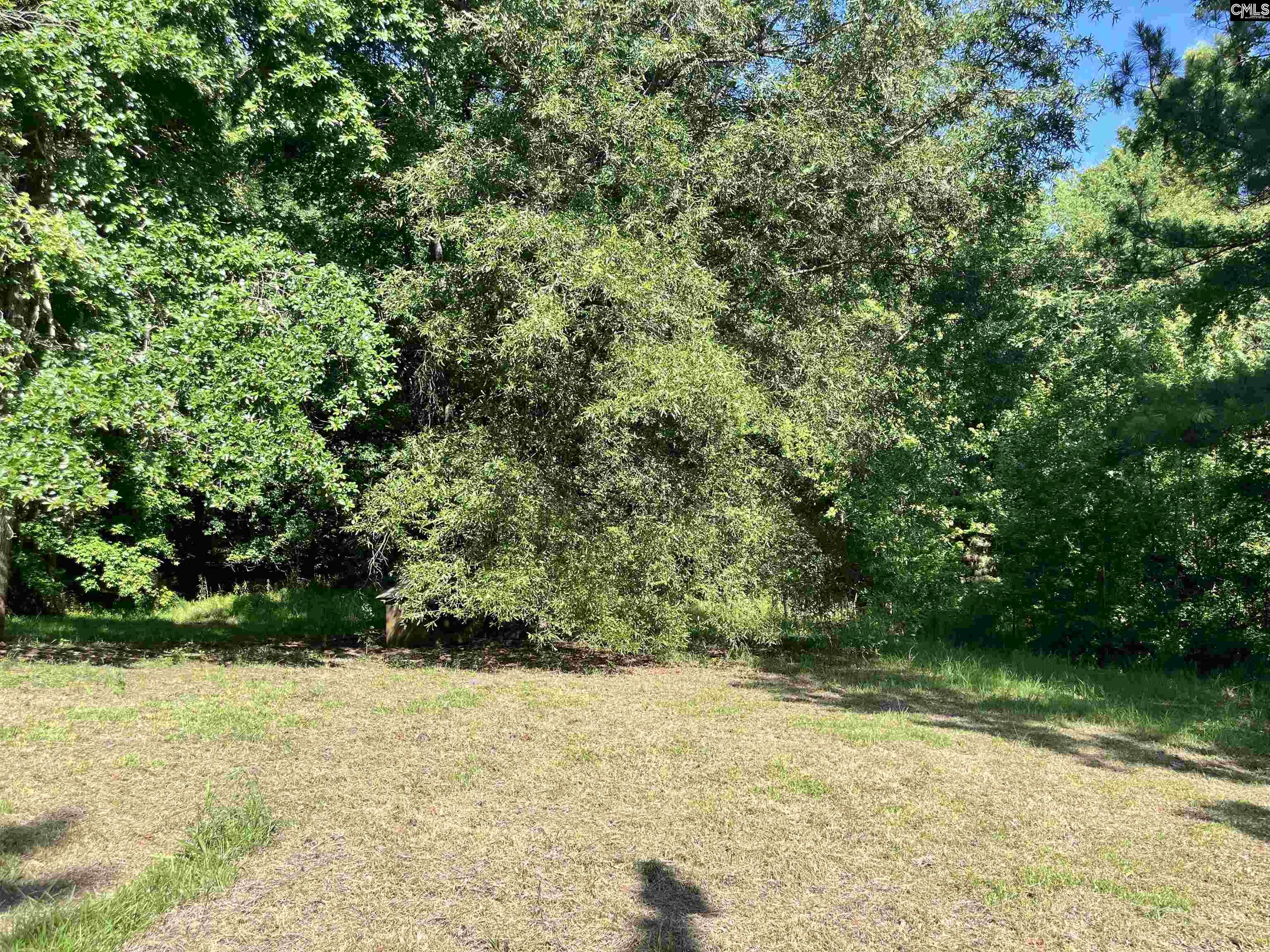 6712 E Peach Road, Ridgeway, South Carolina image 2