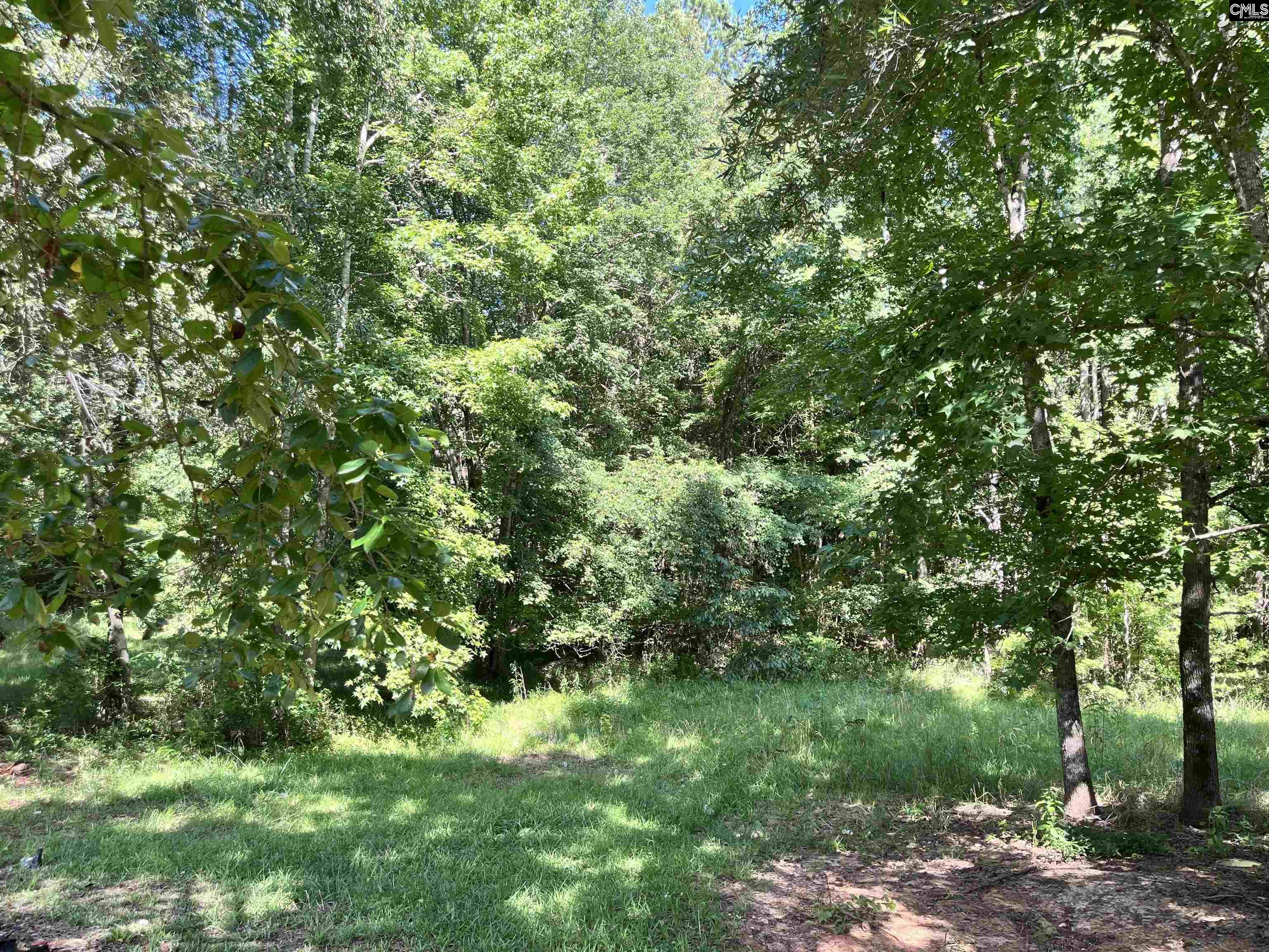 6712 E Peach Road, Ridgeway, South Carolina image 3