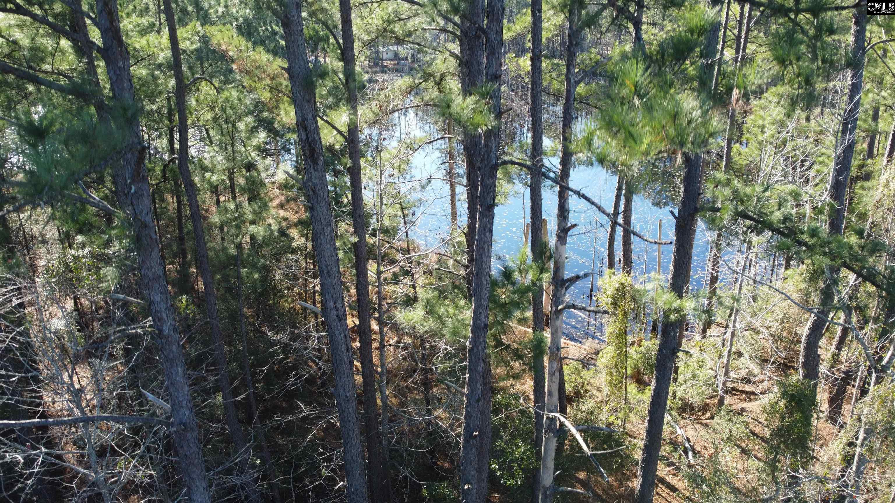 TBD Alligator Rd Near Boxcar Ln, Moncks Corner, South Carolina image 1