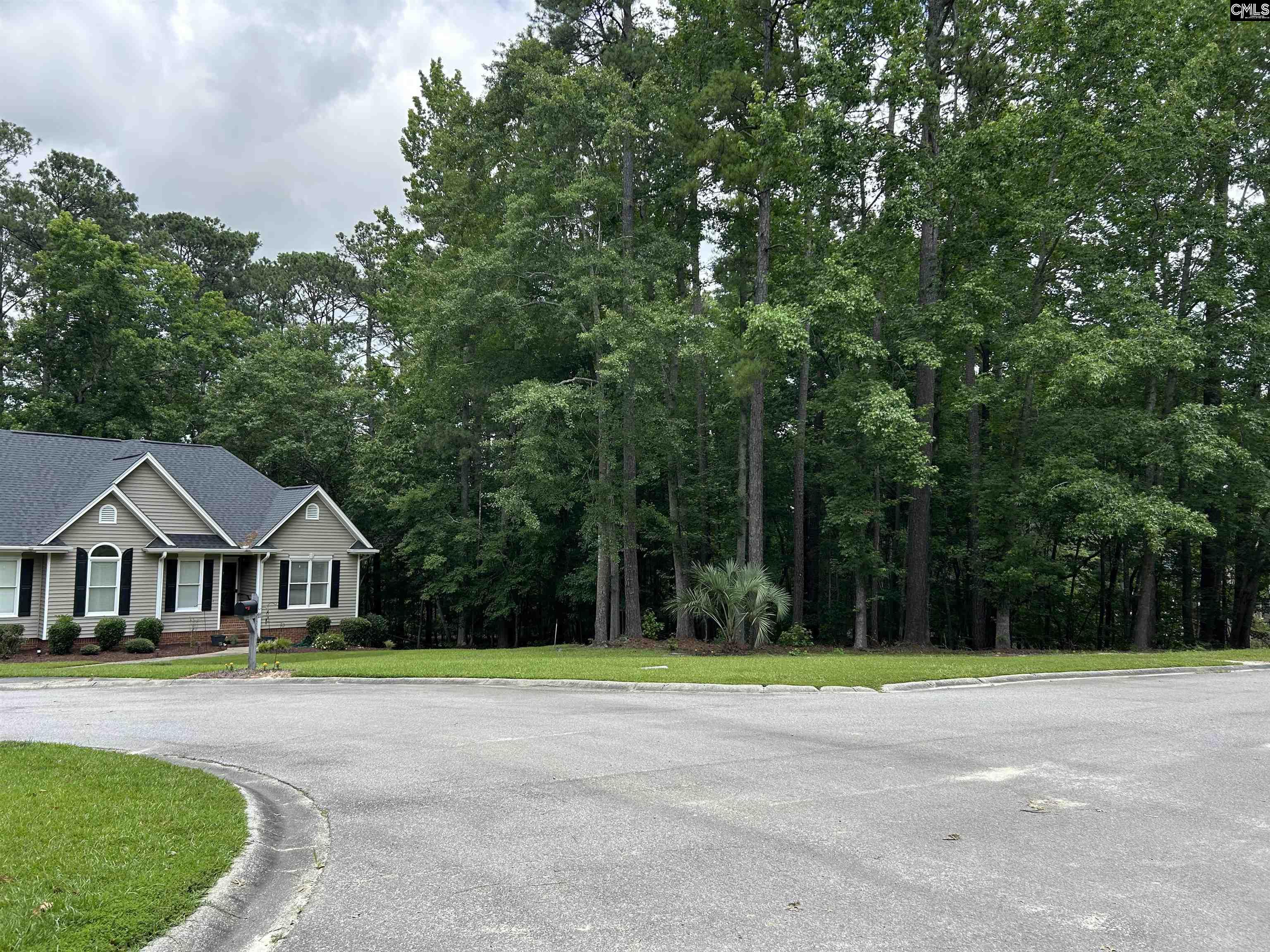 TBD Whiteoak Ridge Rd, Blythewood, South Carolina image 4
