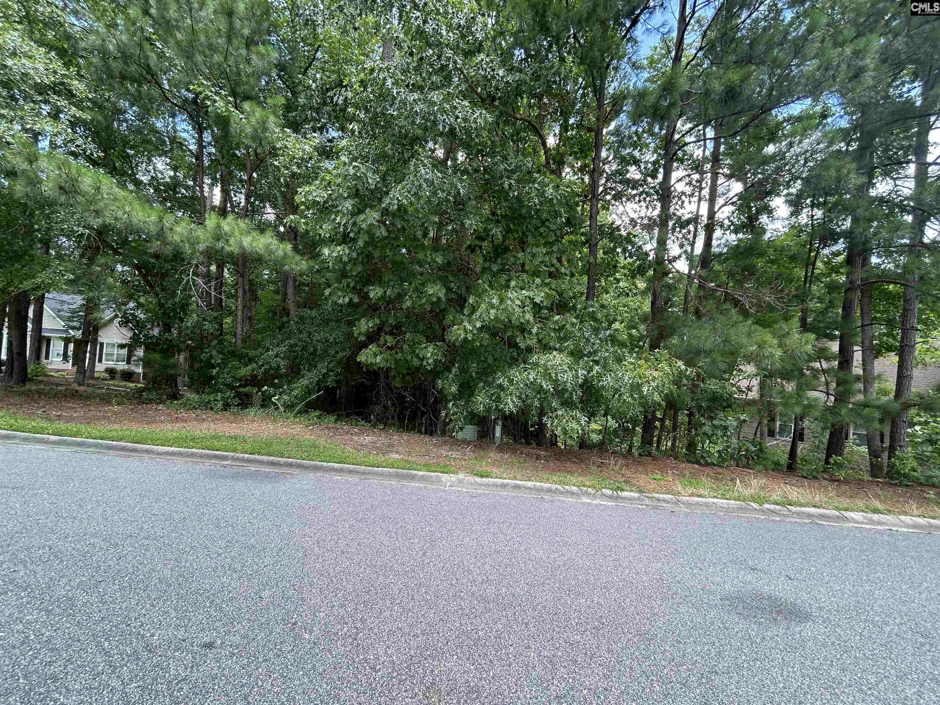 TBD Whiteoak Ridge Rd, Blythewood, South Carolina image 5