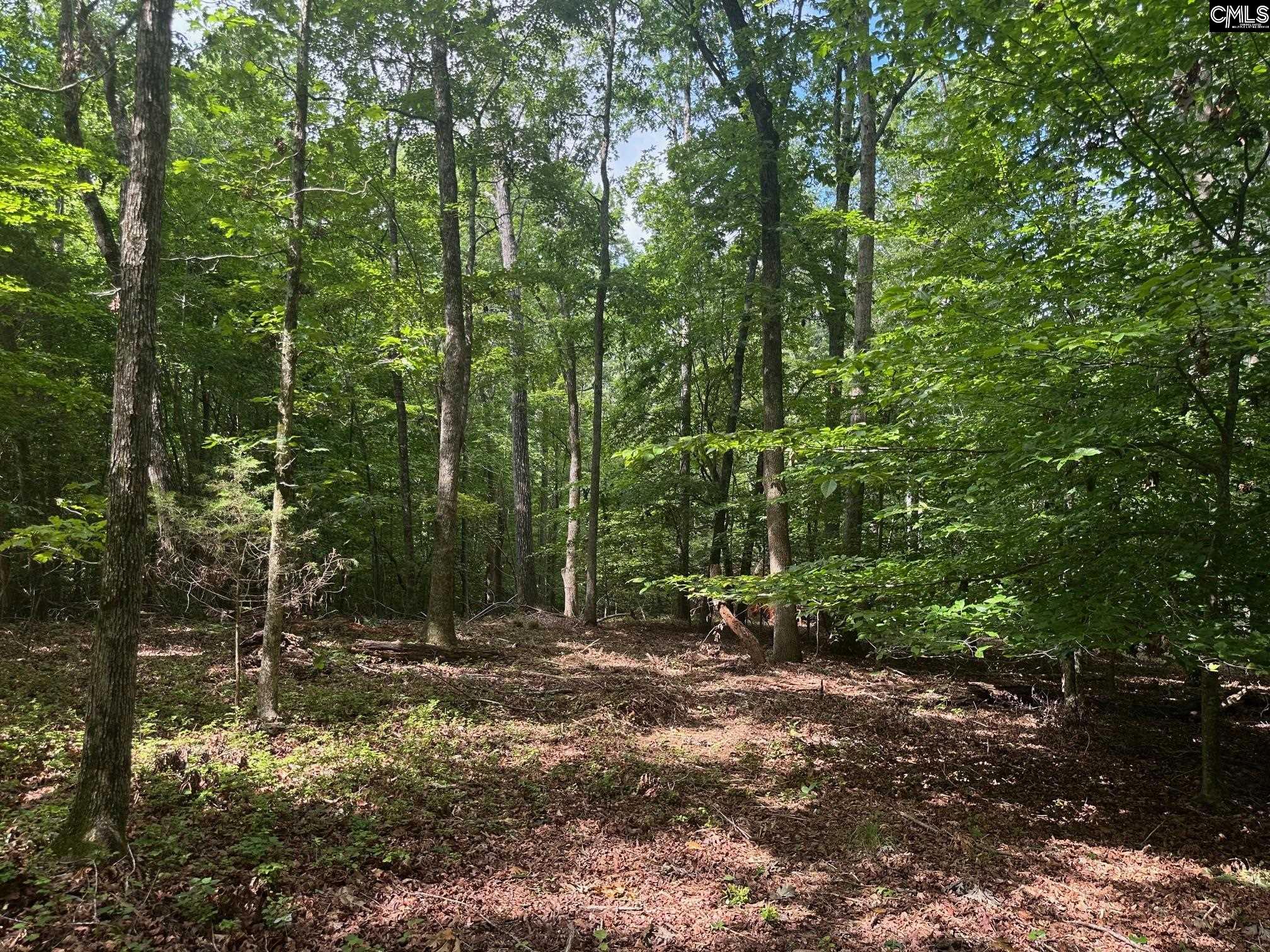 Mill Road, Little Mountain, South Carolina image 3