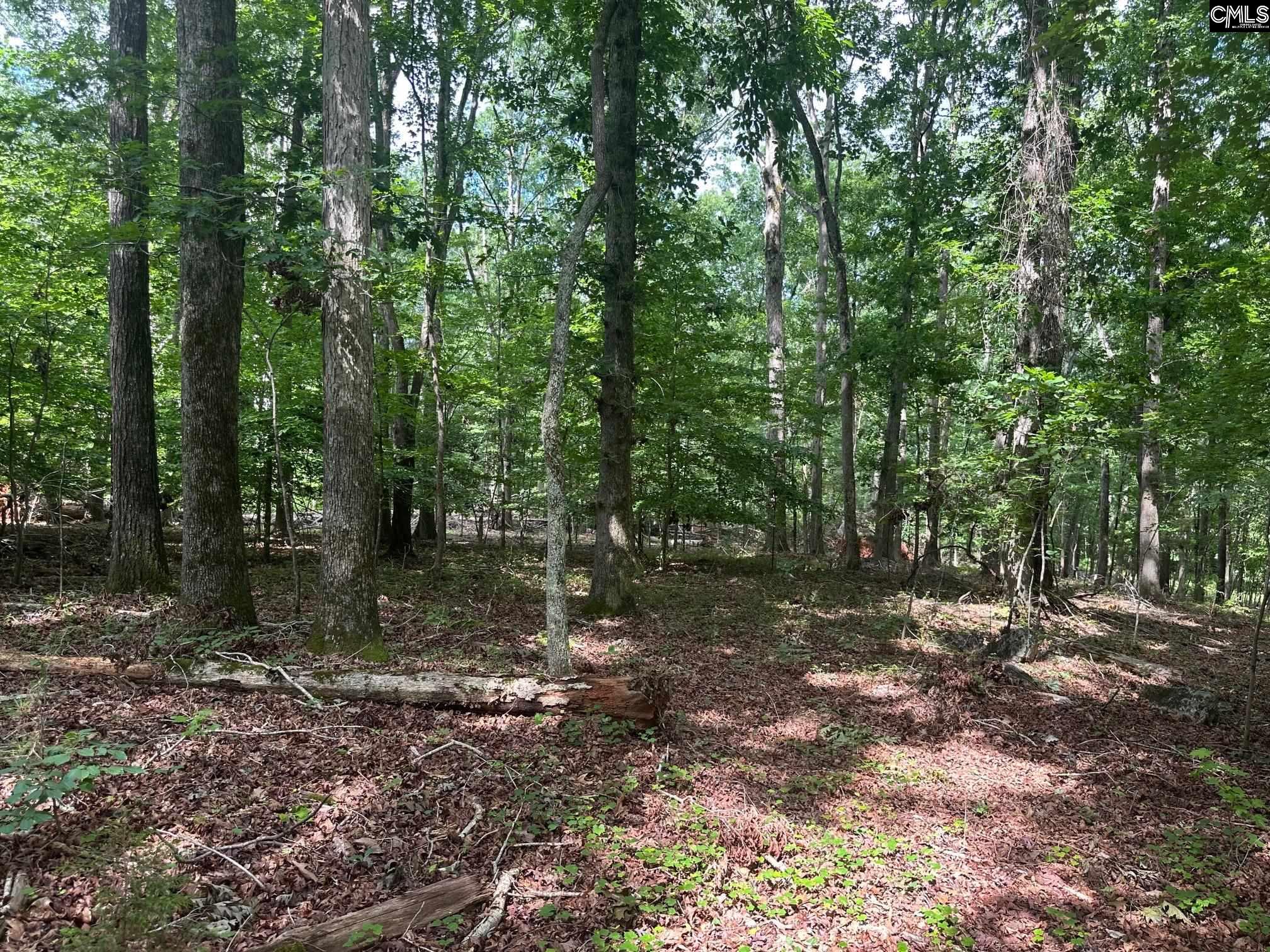 Mill Road, Little Mountain, South Carolina image 4