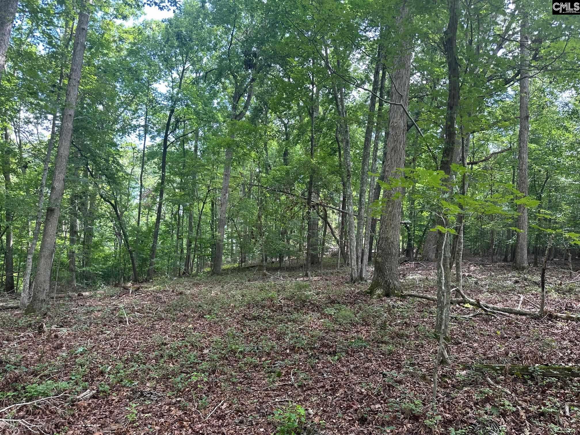 Mill Road, Little Mountain, South Carolina image 5