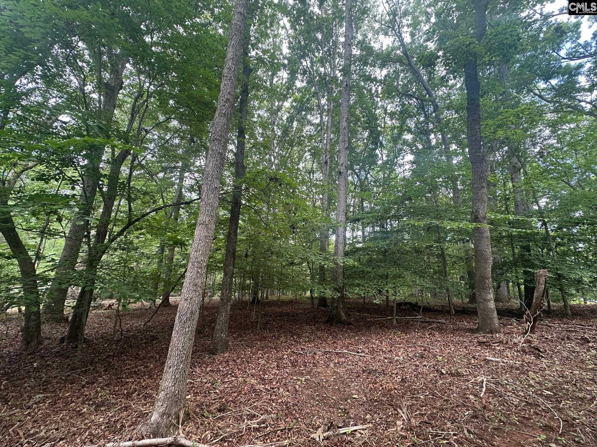 Mill Road, Little Mountain, South Carolina image 6