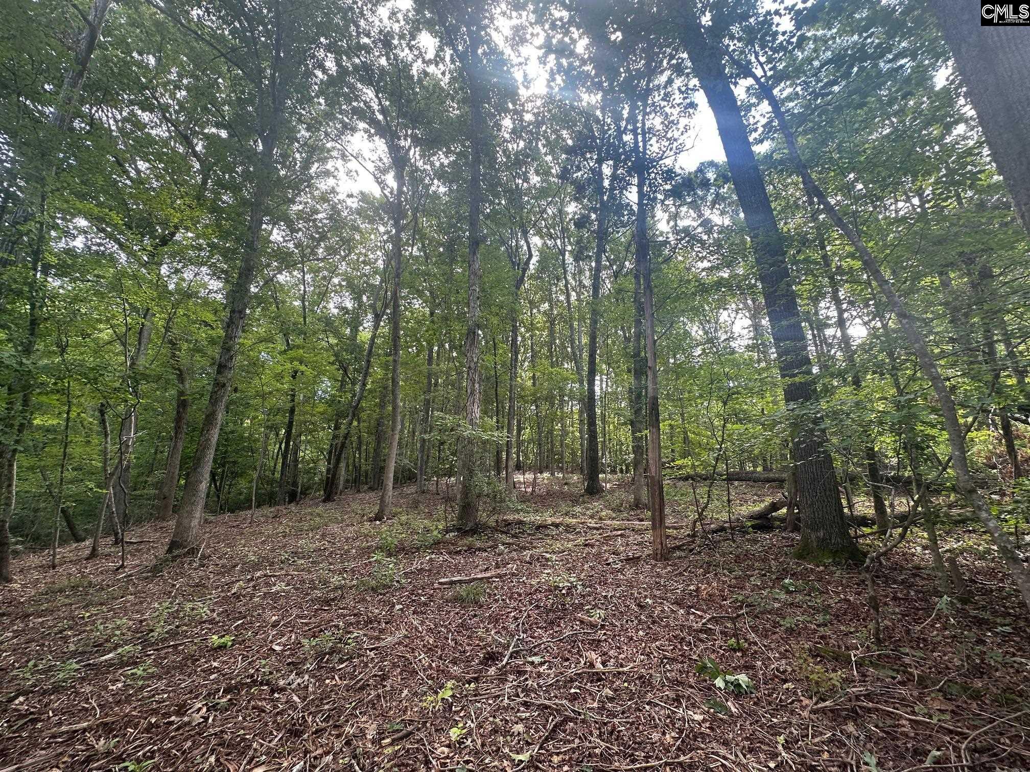 Mill Road, Little Mountain, South Carolina image 7