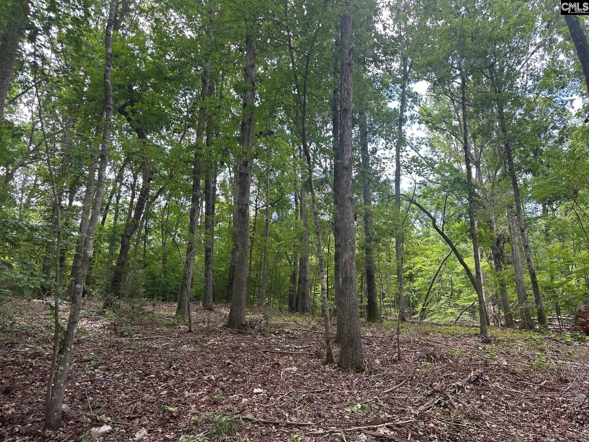 Mill Road, Little Mountain, South Carolina image 8
