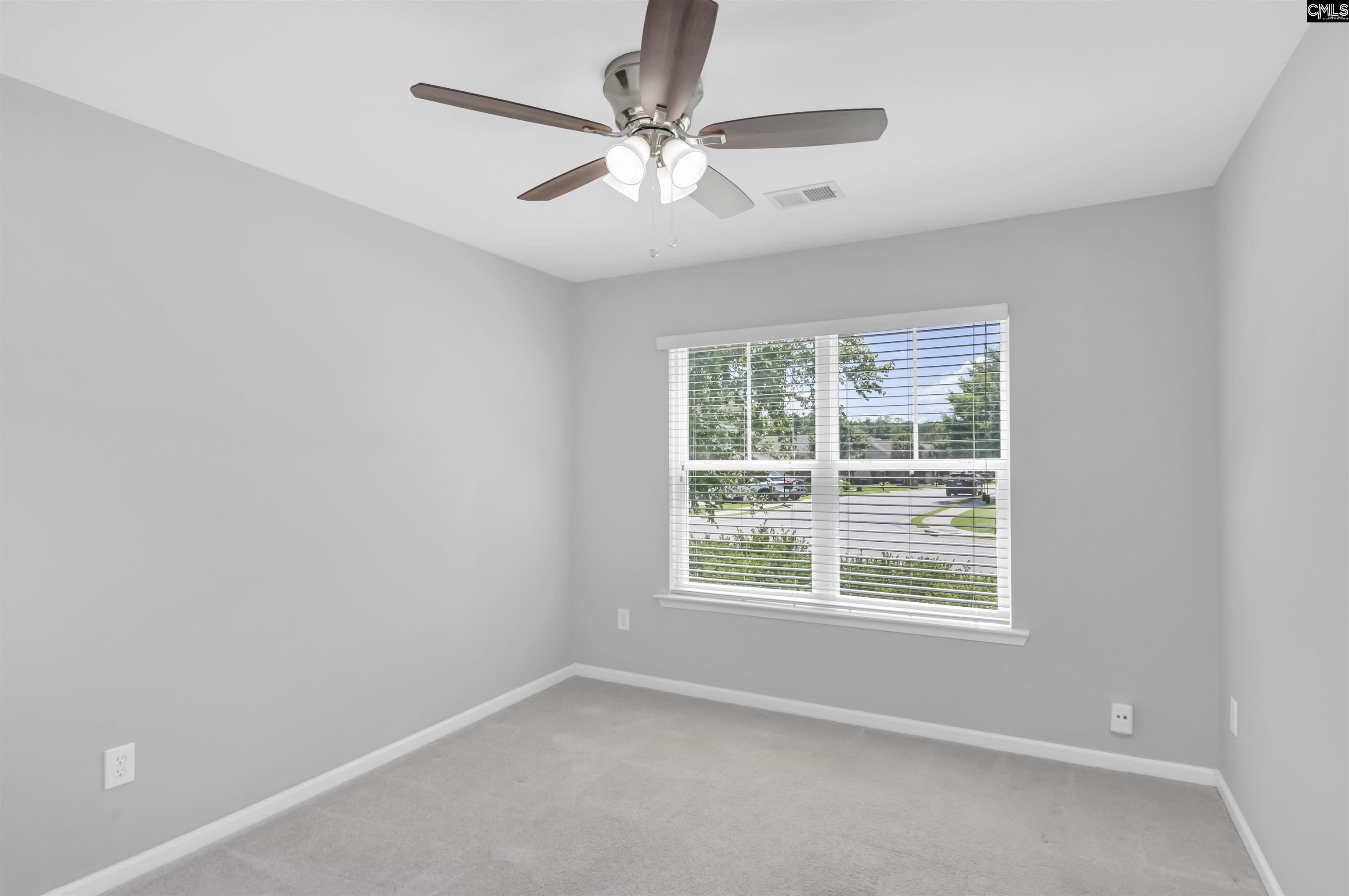 821 Burnview Lane, Chapin, South Carolina image 19