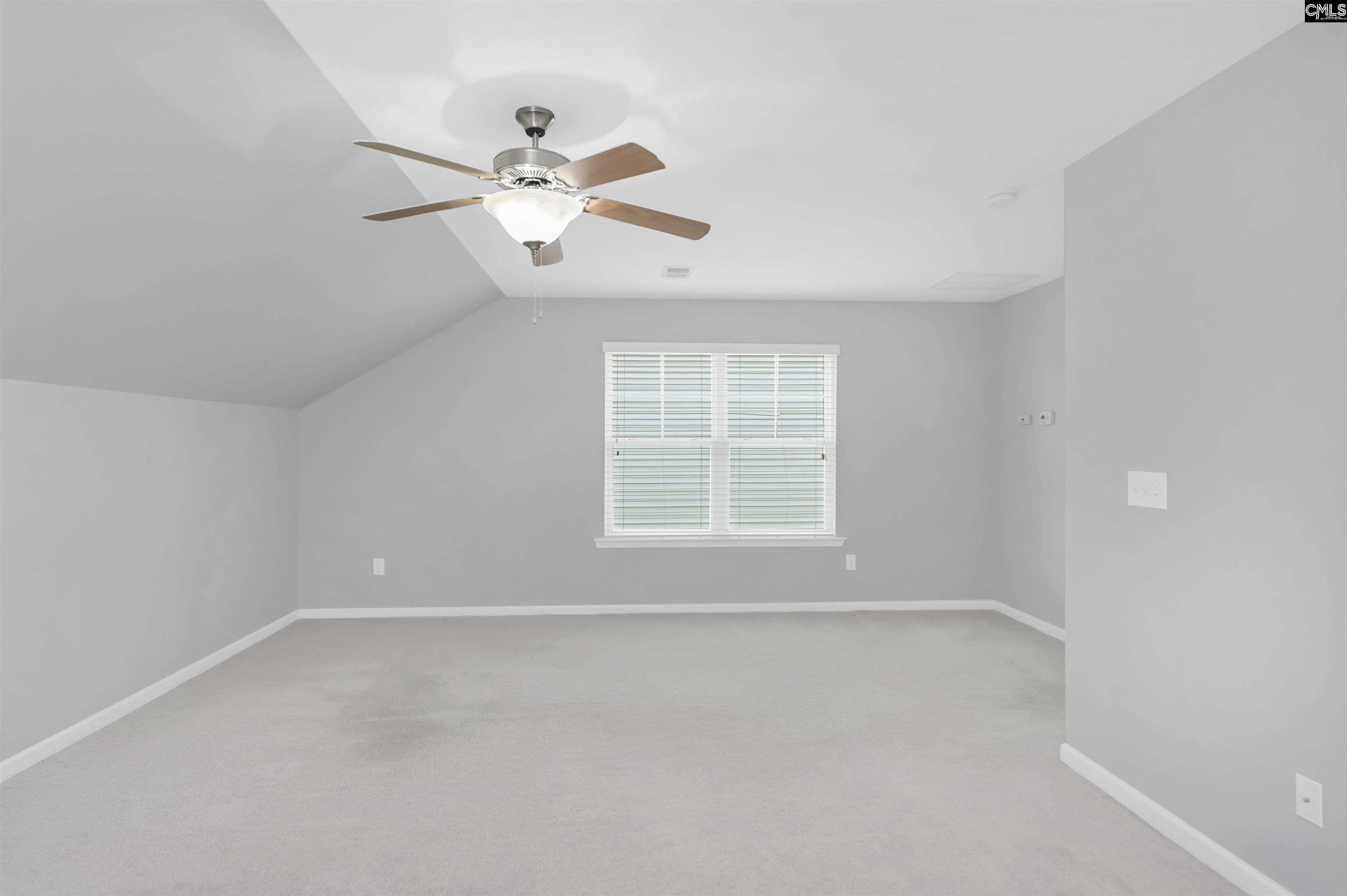 821 Burnview Lane, Chapin, South Carolina image 22