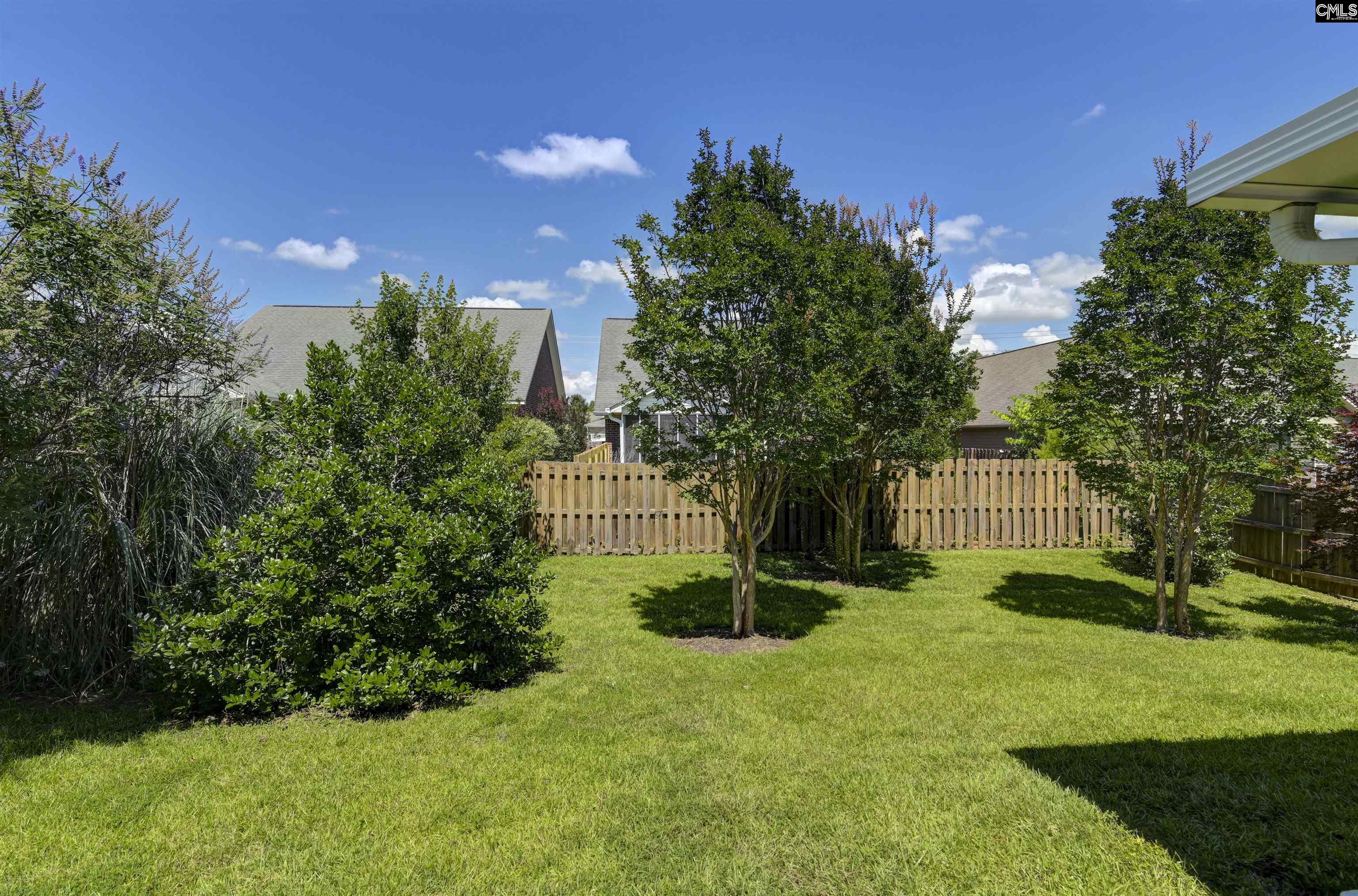 821 Burnview Lane, Chapin, South Carolina image 33