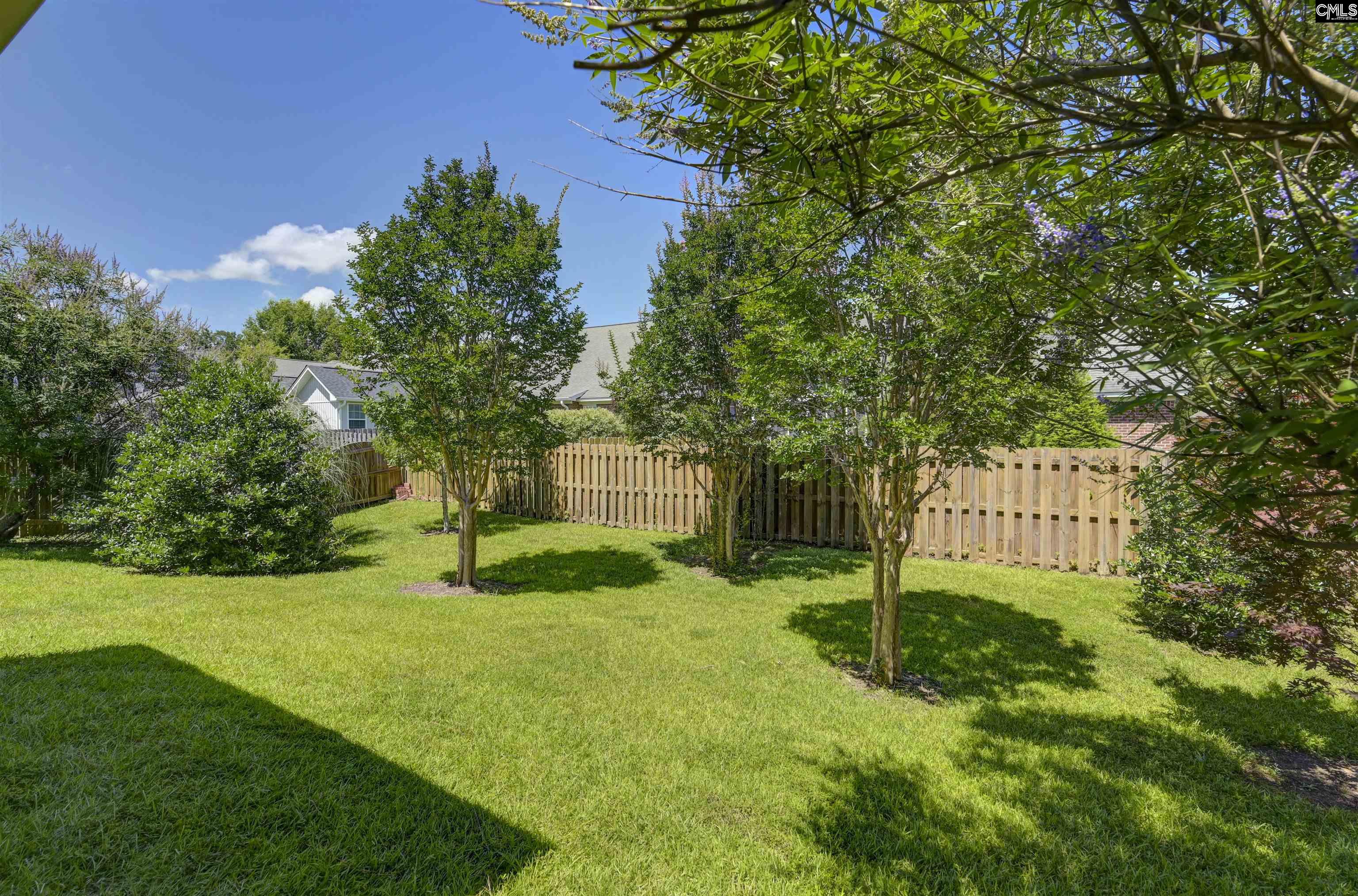 821 Burnview Lane, Chapin, South Carolina image 34