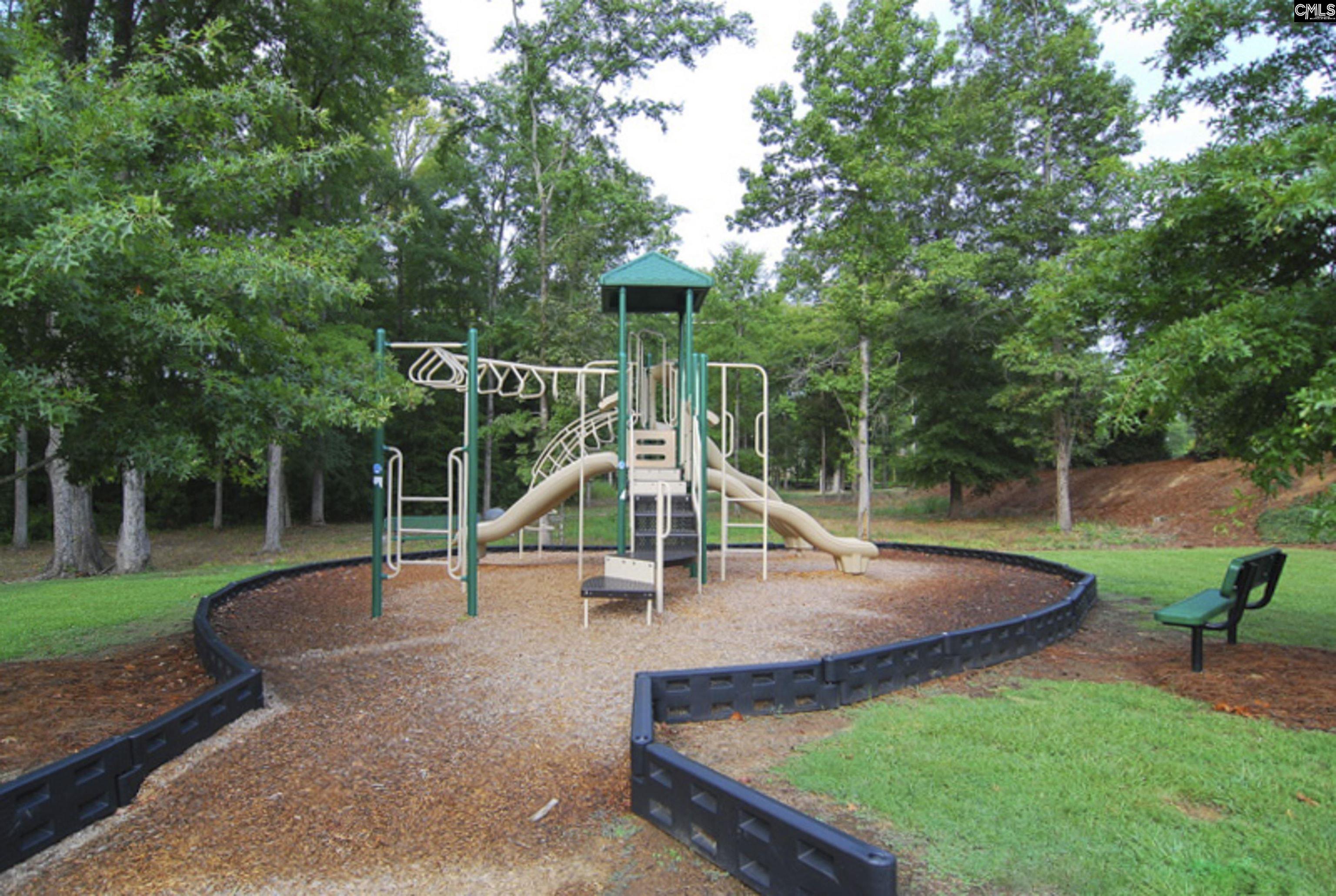 821 Burnview Lane, Chapin, South Carolina image 50