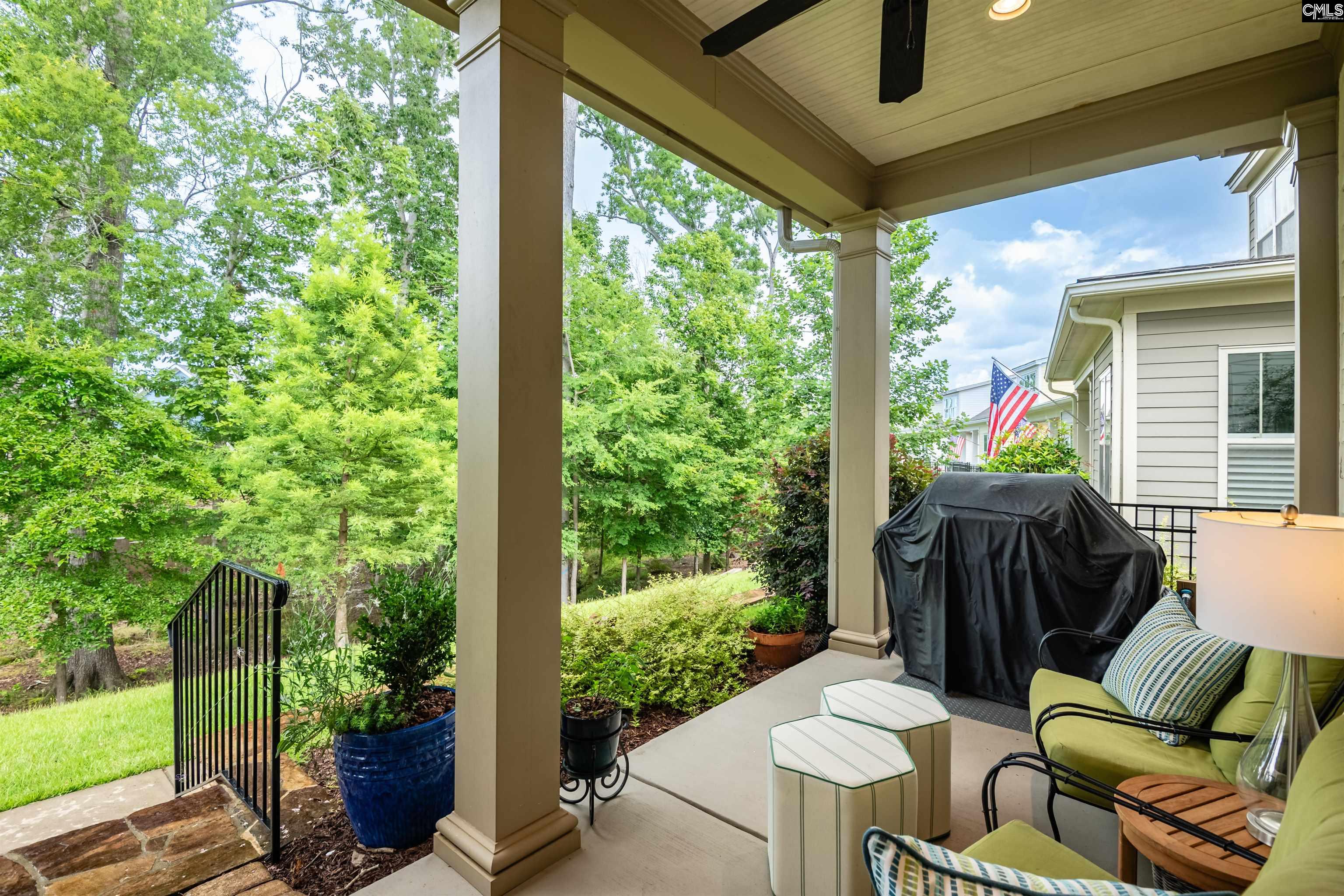 326 Coldwater Crossing, Lexington, South Carolina image 3