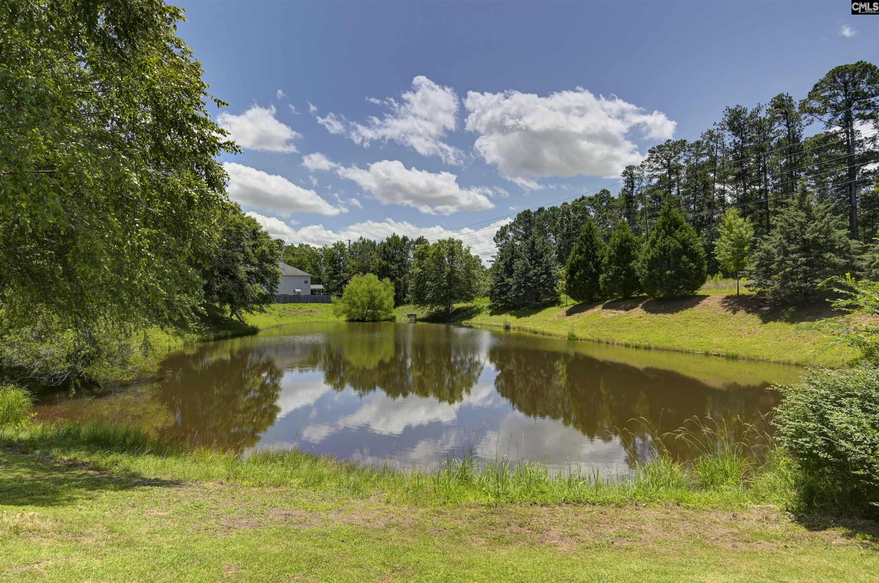 411 Creek Branch Court, Lexington, South Carolina image 25