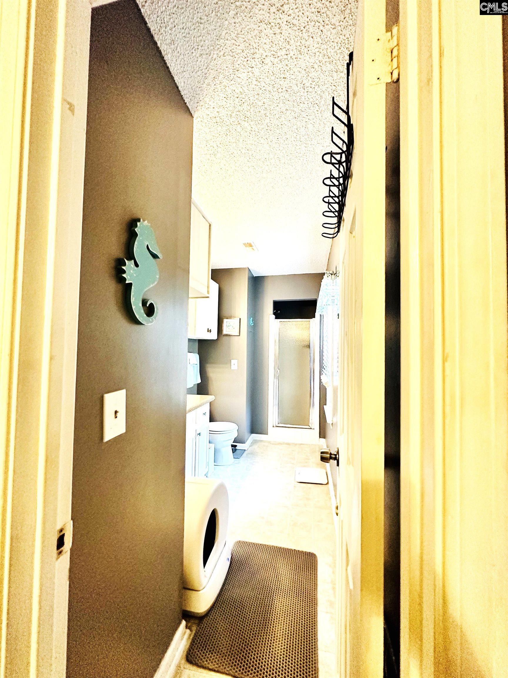 245 Teesdale Court, Lexington, South Carolina image 12