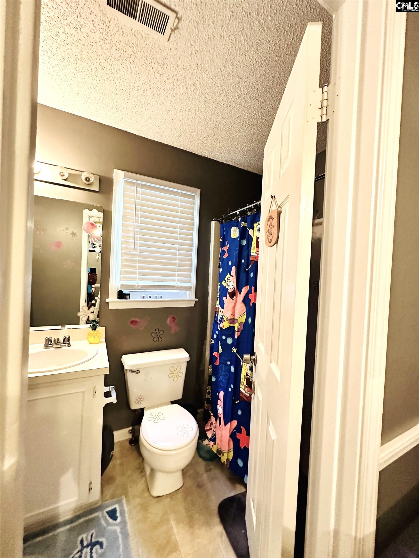 245 Teesdale Court, Lexington, South Carolina image 10