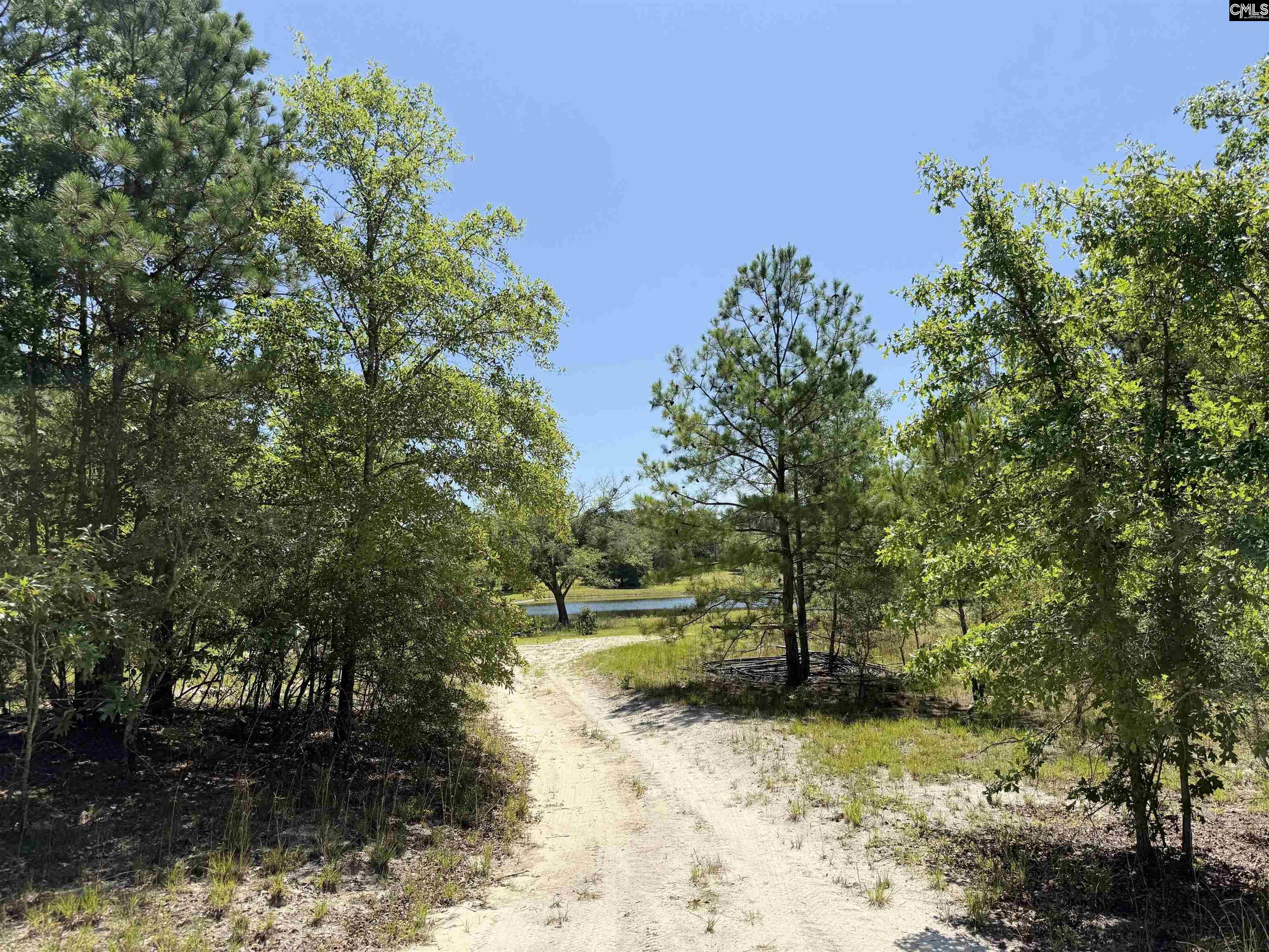 1137 A Smyrna Road, Elgin, South Carolina image 14