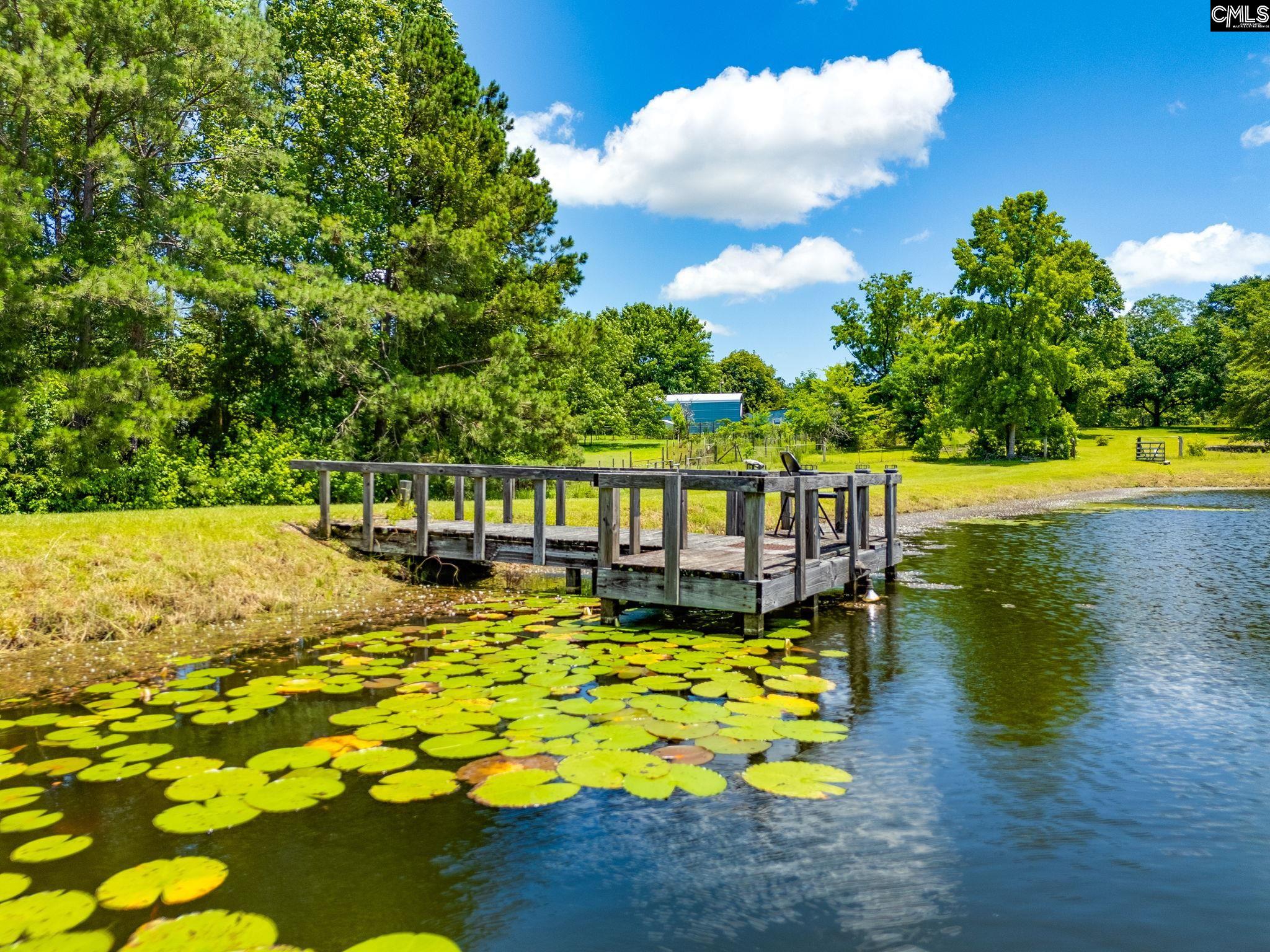 1137 A Smyrna Road, Elgin, South Carolina image 22