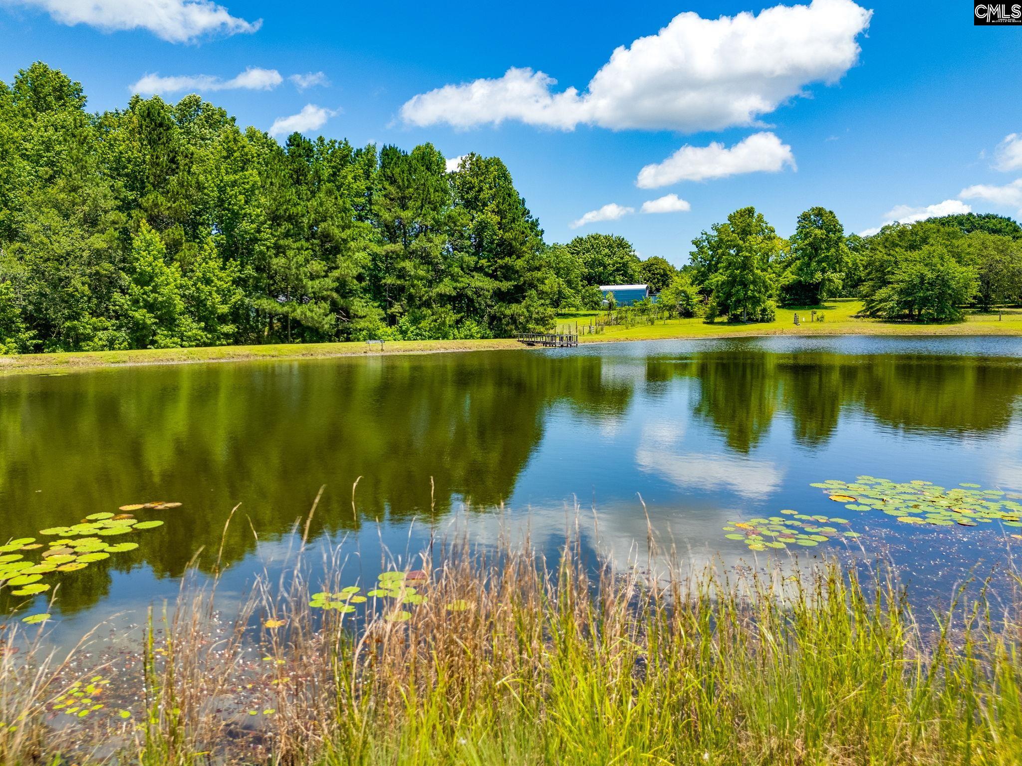 1137 A Smyrna Road, Elgin, South Carolina image 26
