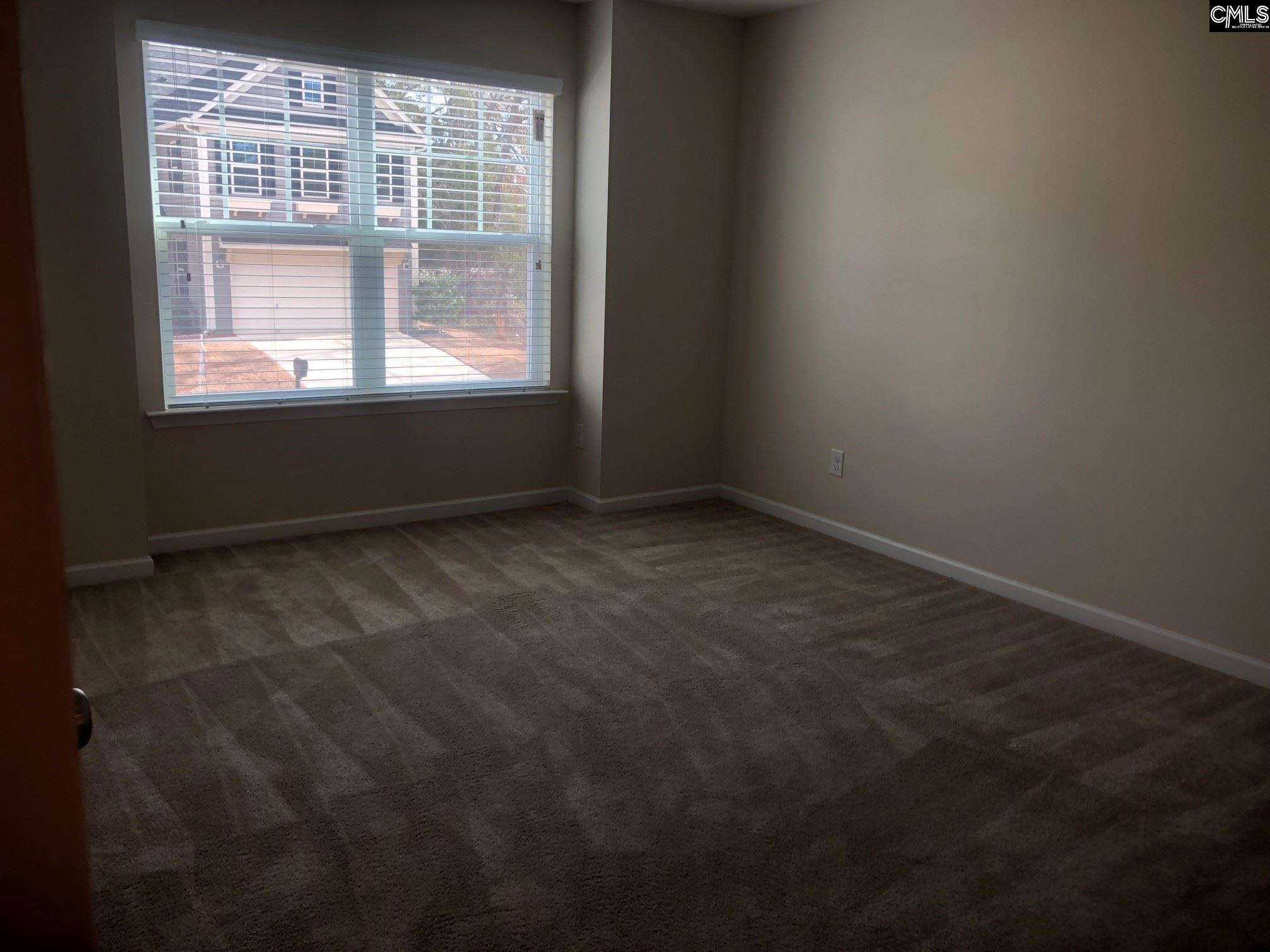 532 Slices Way, Chapin, South Carolina image 11
