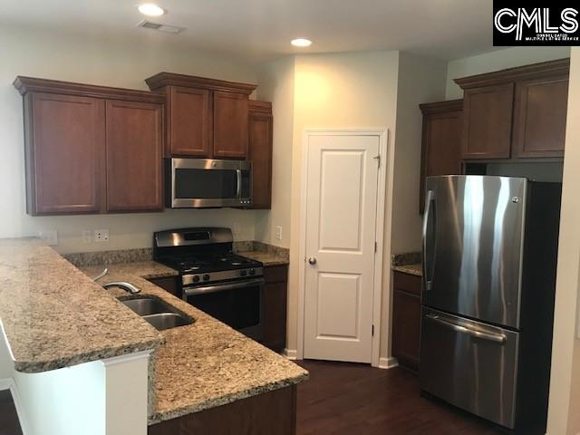 532 Slices Way, Chapin, South Carolina image 4