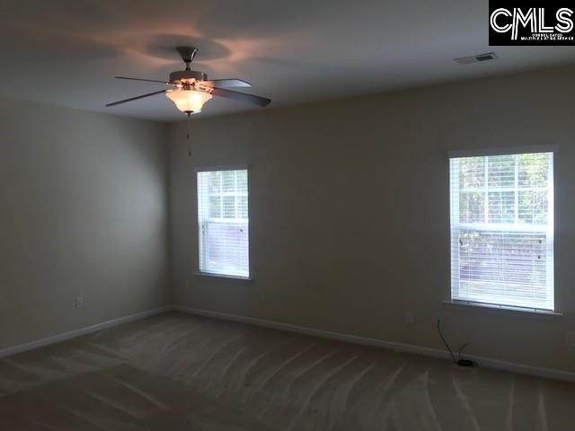 532 Slices Way, Chapin, South Carolina image 7