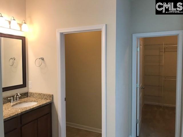 532 Slices Way, Chapin, South Carolina image 8