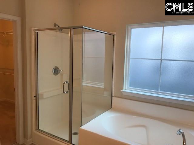 532 Slices Way, Chapin, South Carolina image 10