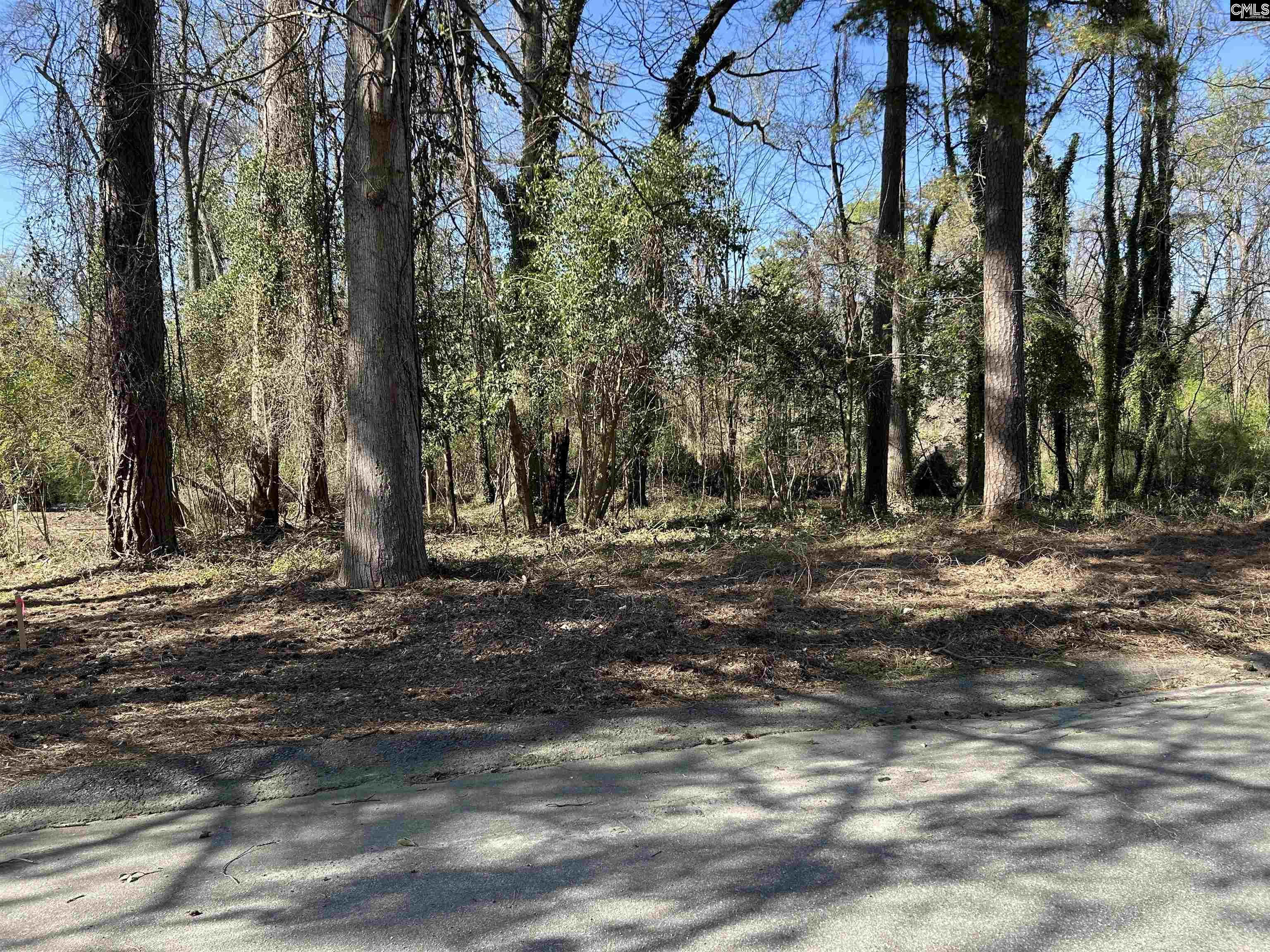 305 Bertha Avenue Columbia, SC 29203