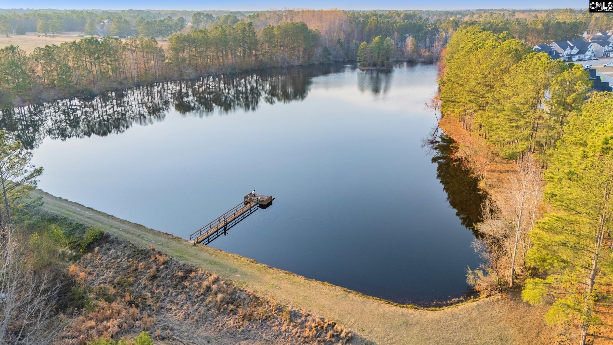 257 Falling Leaves Lane, Blythewood, South Carolina image 2