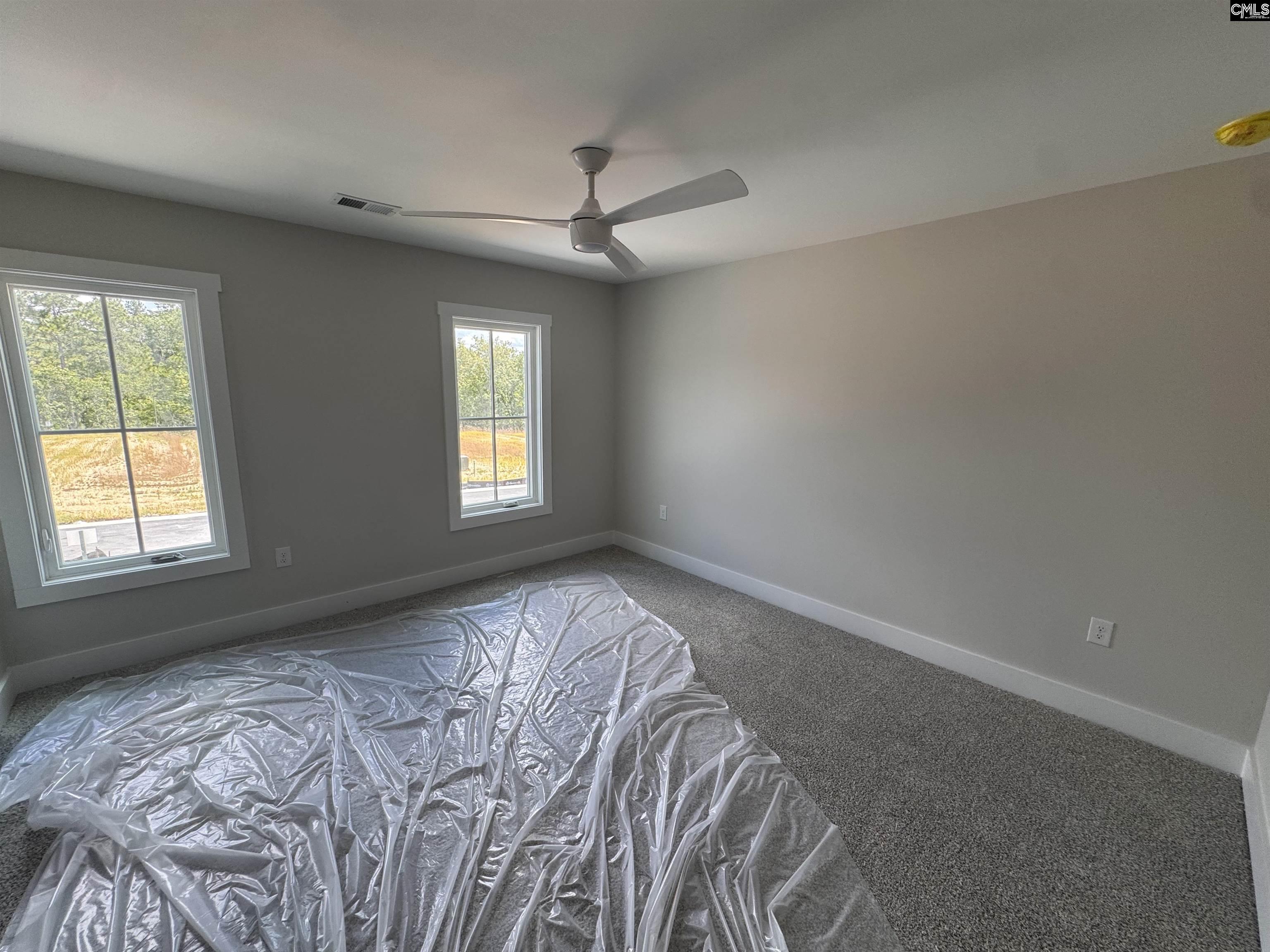 2033 Fairway View, Blythewood, South Carolina image 17
