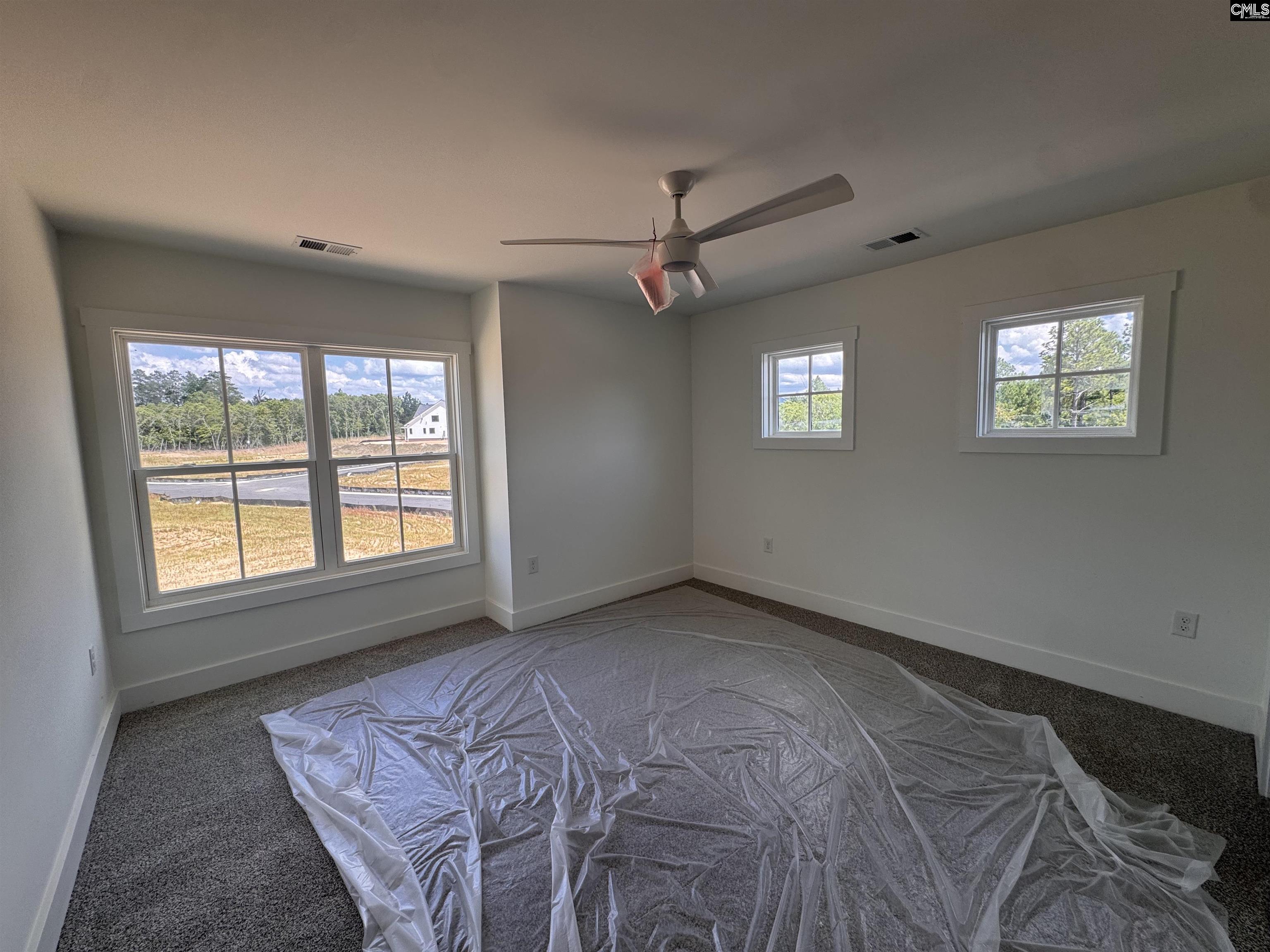 2037 Fairway View, Blythewood, South Carolina image 21