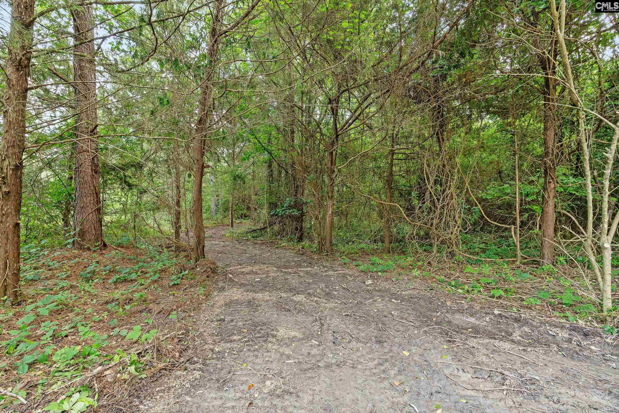 361 Hampton Terrace, Leesville, South Carolina image 24