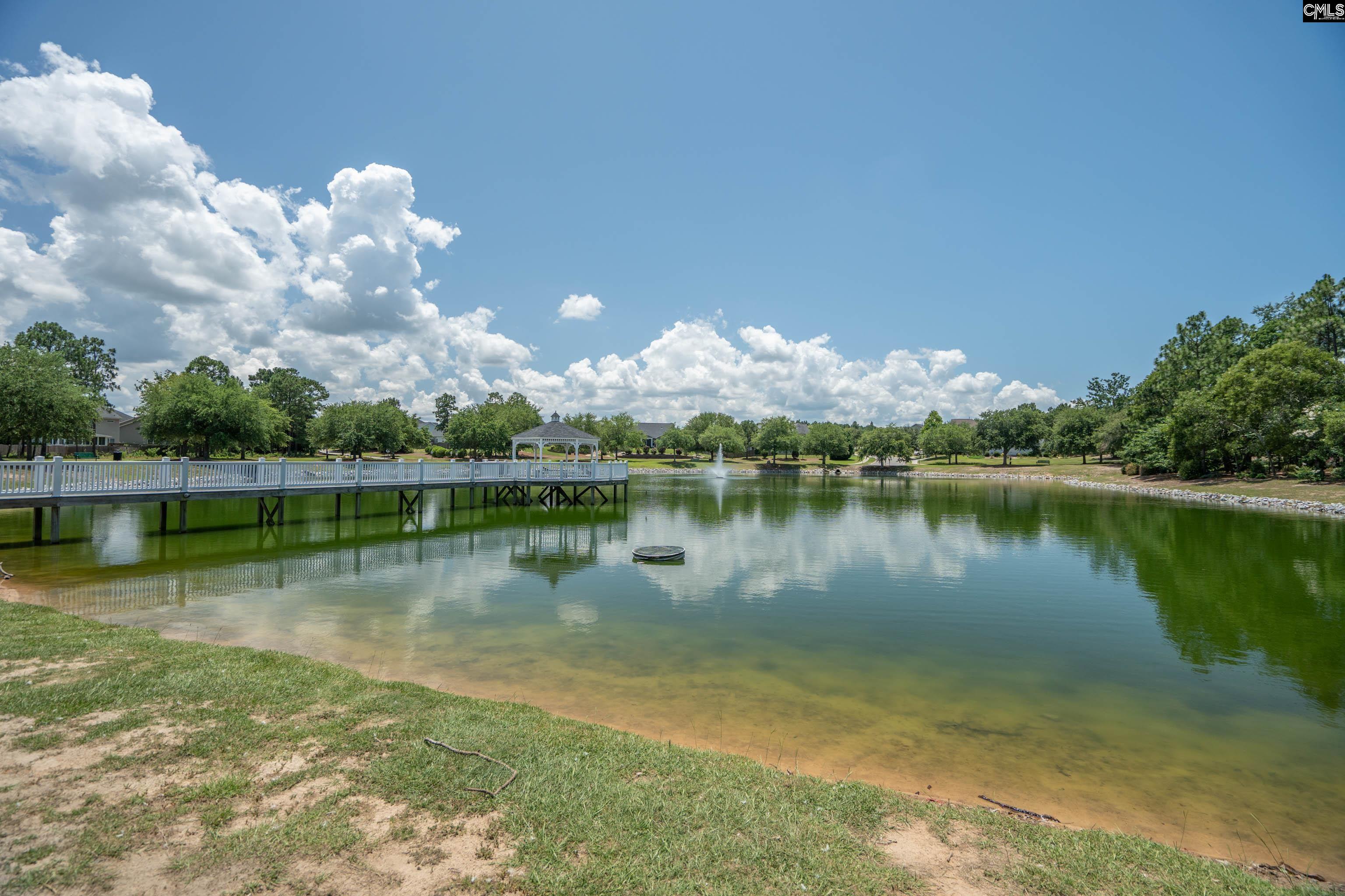 532 Ariel Circle, Lexington, South Carolina image 45