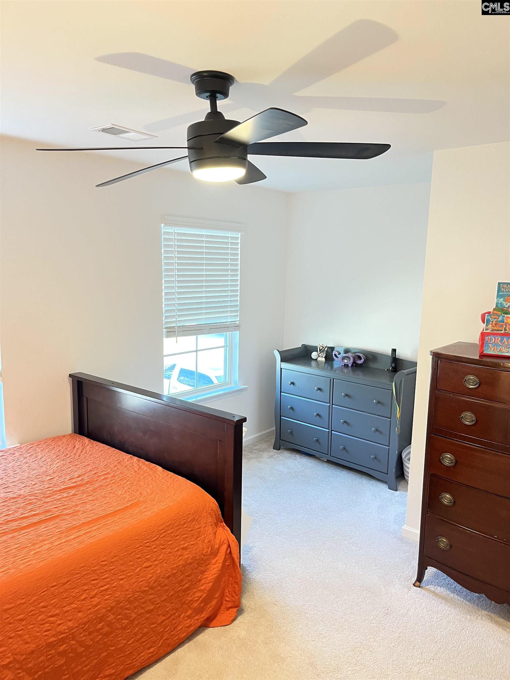 1324 Tamarind Lane, Chapin, South Carolina image 22