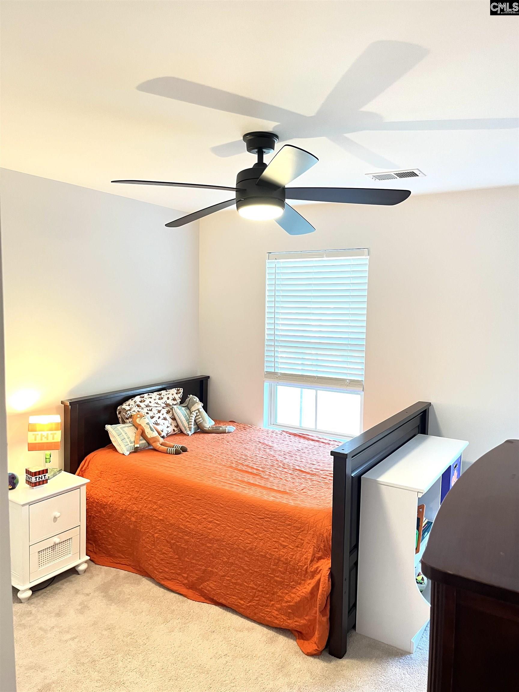 1324 Tamarind Lane, Chapin, South Carolina image 23