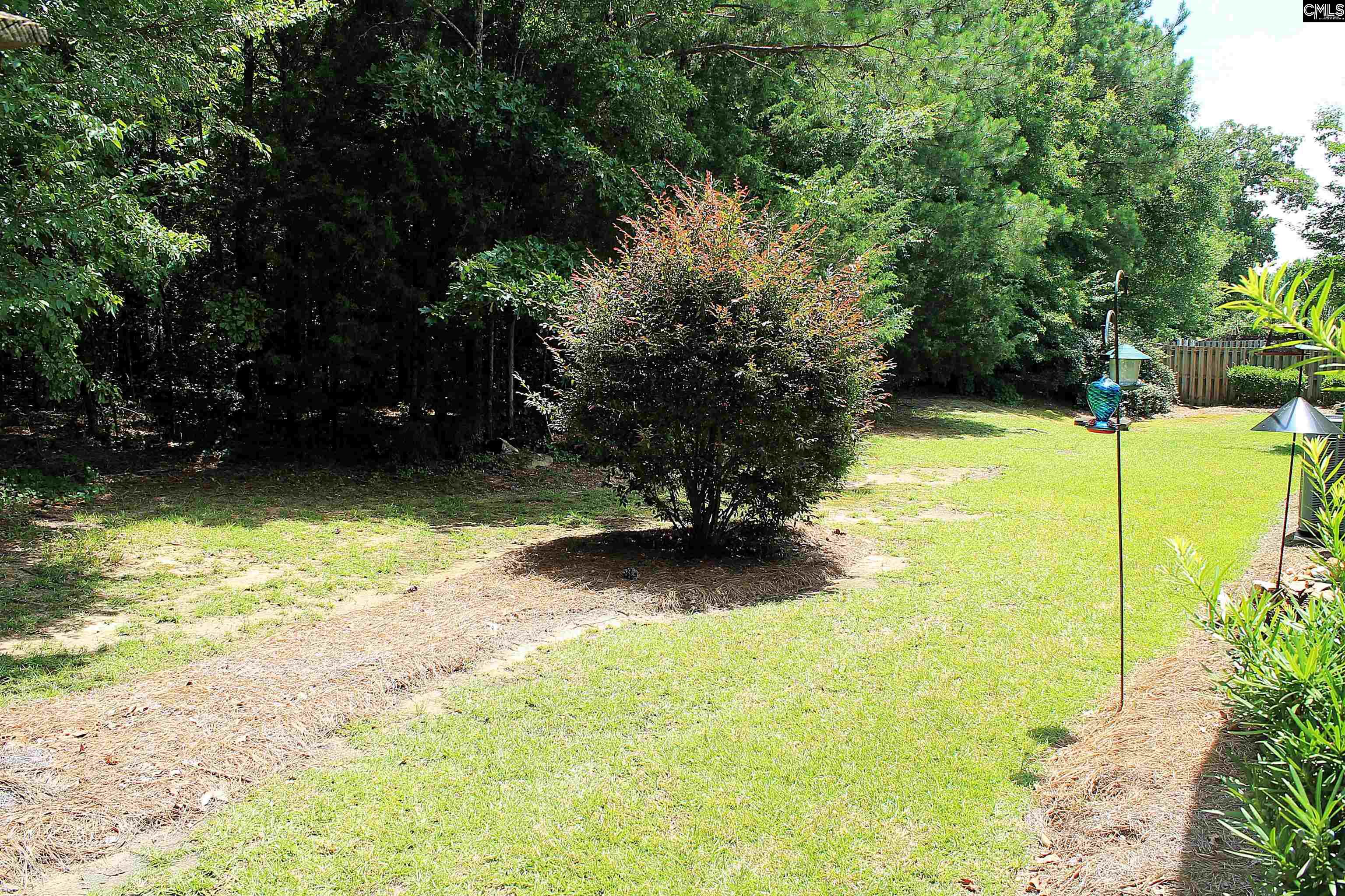 499 Woodhouse Loop, Irmo, South Carolina image 28